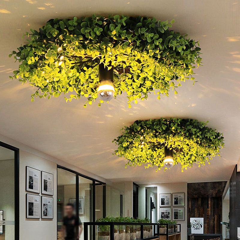 Nest Lámpara de Techo Moderna Planta Verde Metal/Vidrio Sala de Estar