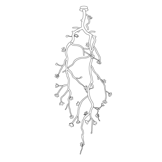 Large Long Branch Flower Chandelier - Letslighting