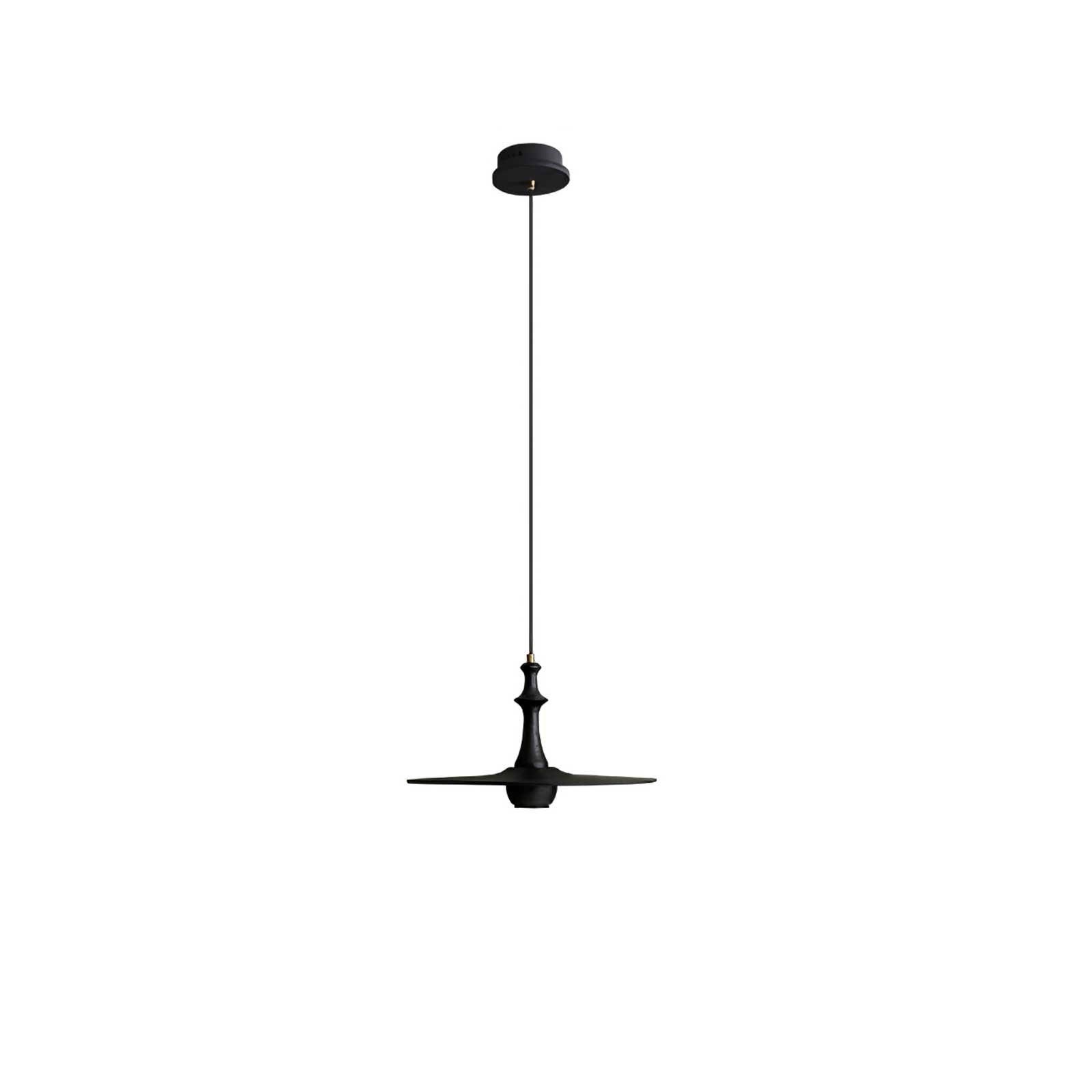 Wooden Spin Pendant Light - Letslighting