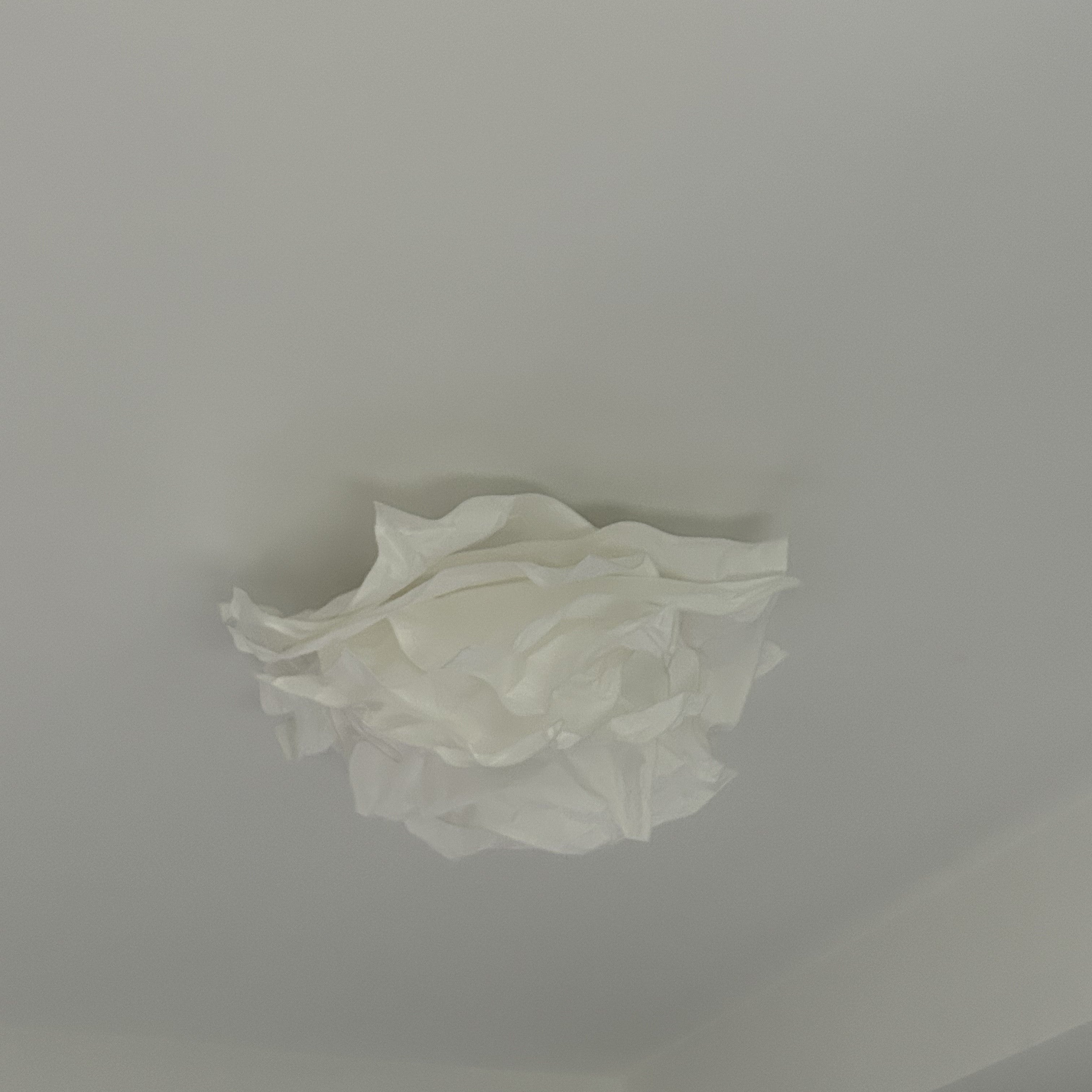 Ritta Diseño Flor Metal Plafón Lámpara de Techo Estudio Dormitorio
