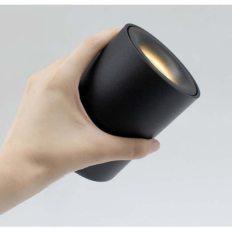 Arisha Moderna Foco Led Metal Lámpara de Techo Blanca/Negra