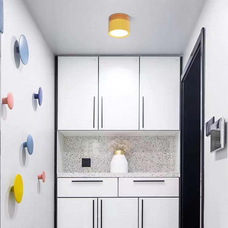 Valentina Moderna Cilíndrica LED Lámpara de Techo