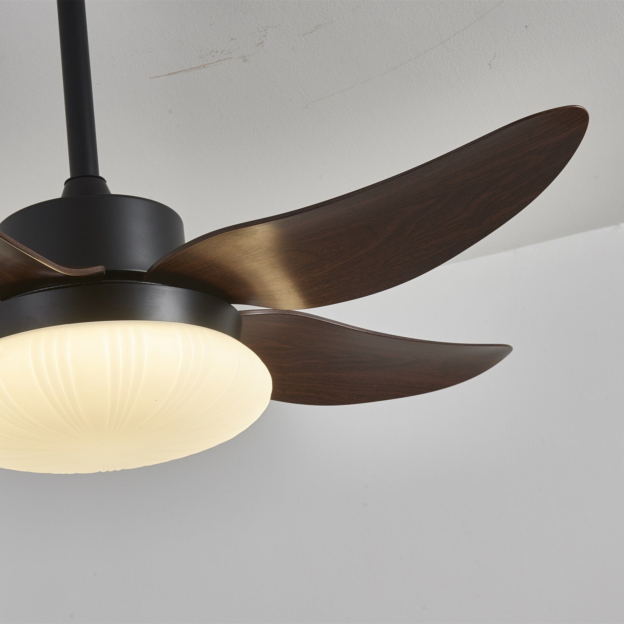 Ventilador de Techo con Luz Zerith, diagrama de dimensiones