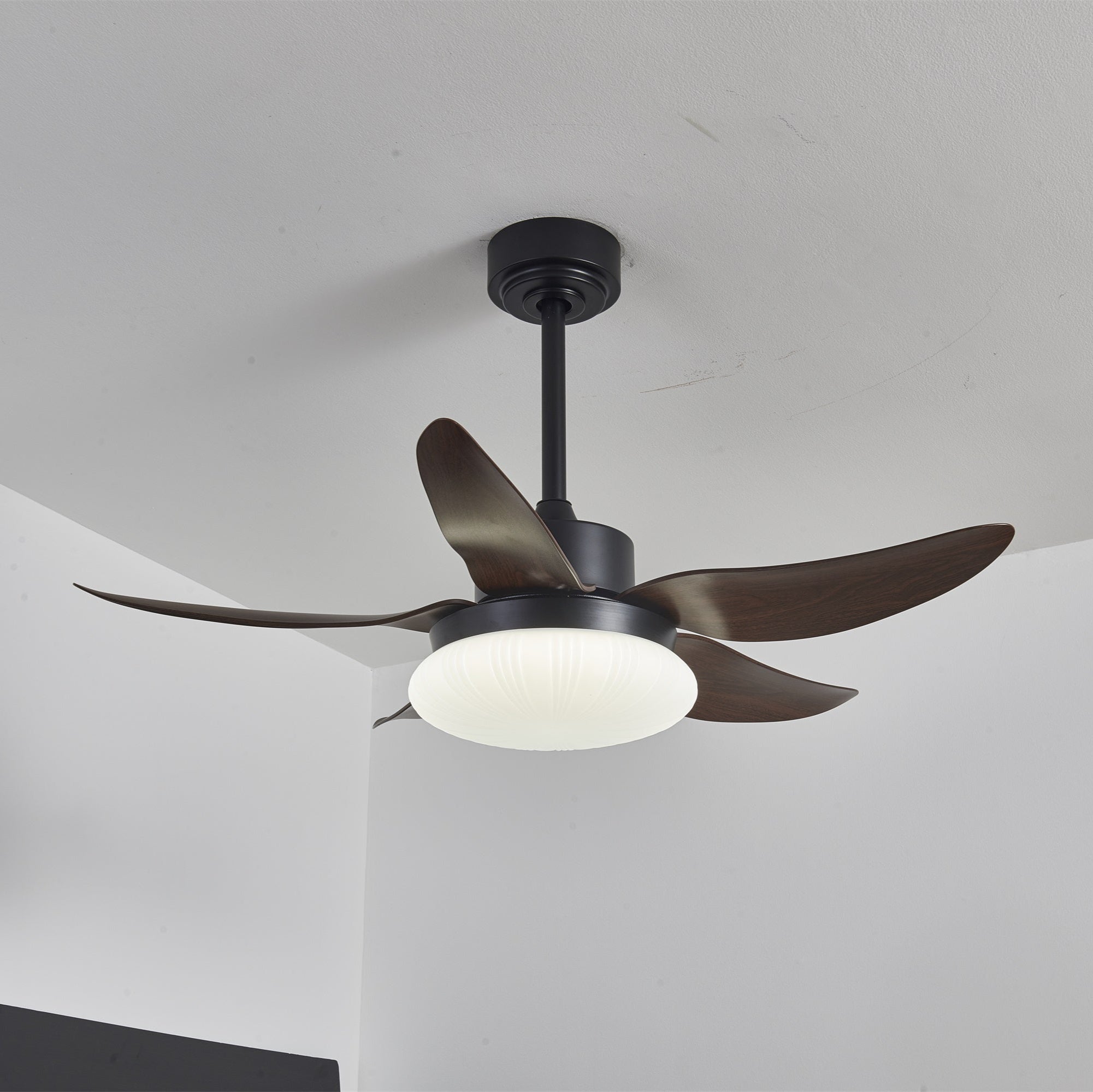 Mando a distancia para el Ventilador de Techo con Luz Zerith Moderno