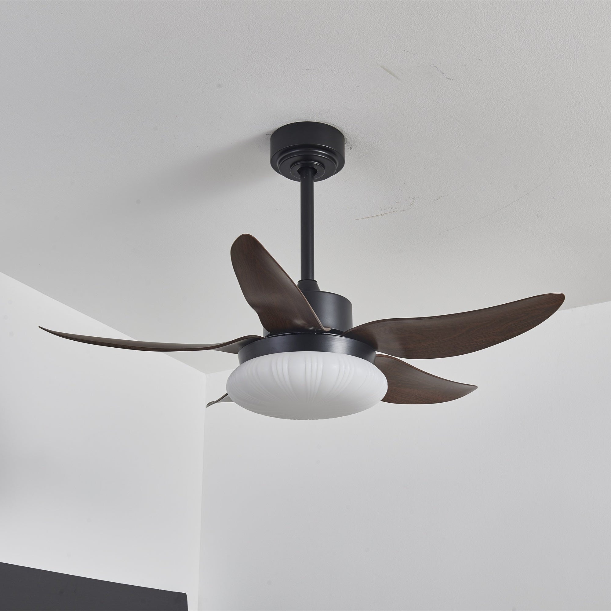 Ventilador de Techo con Luz Zerith, vista superior de las aspas