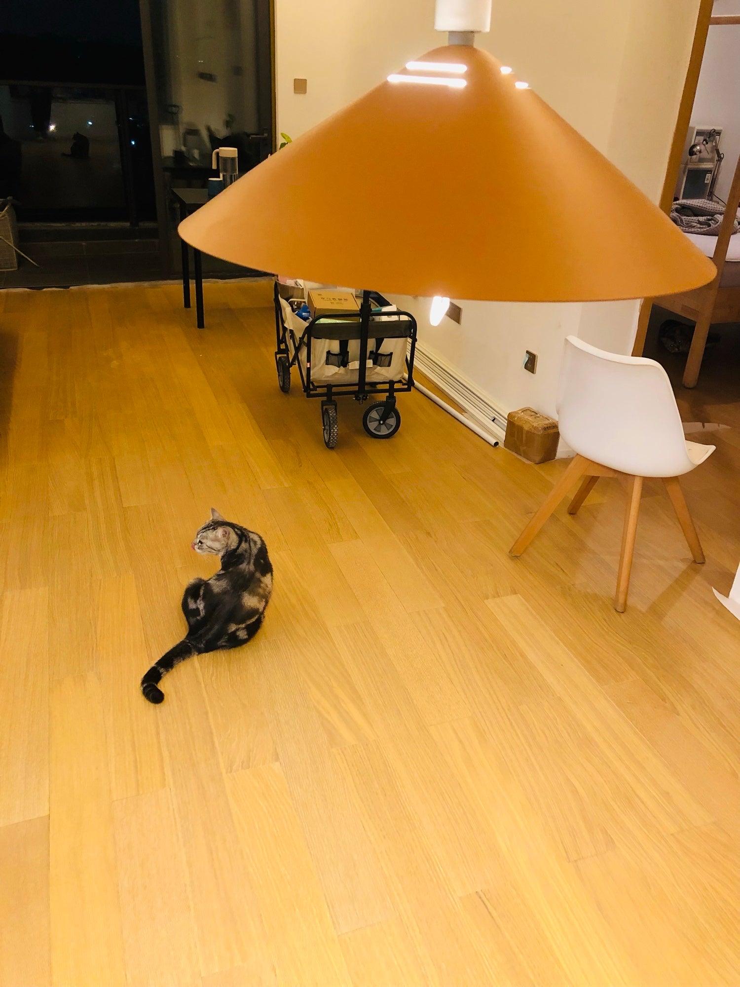 Agnes Retro Pendant Lamp - Letslighting