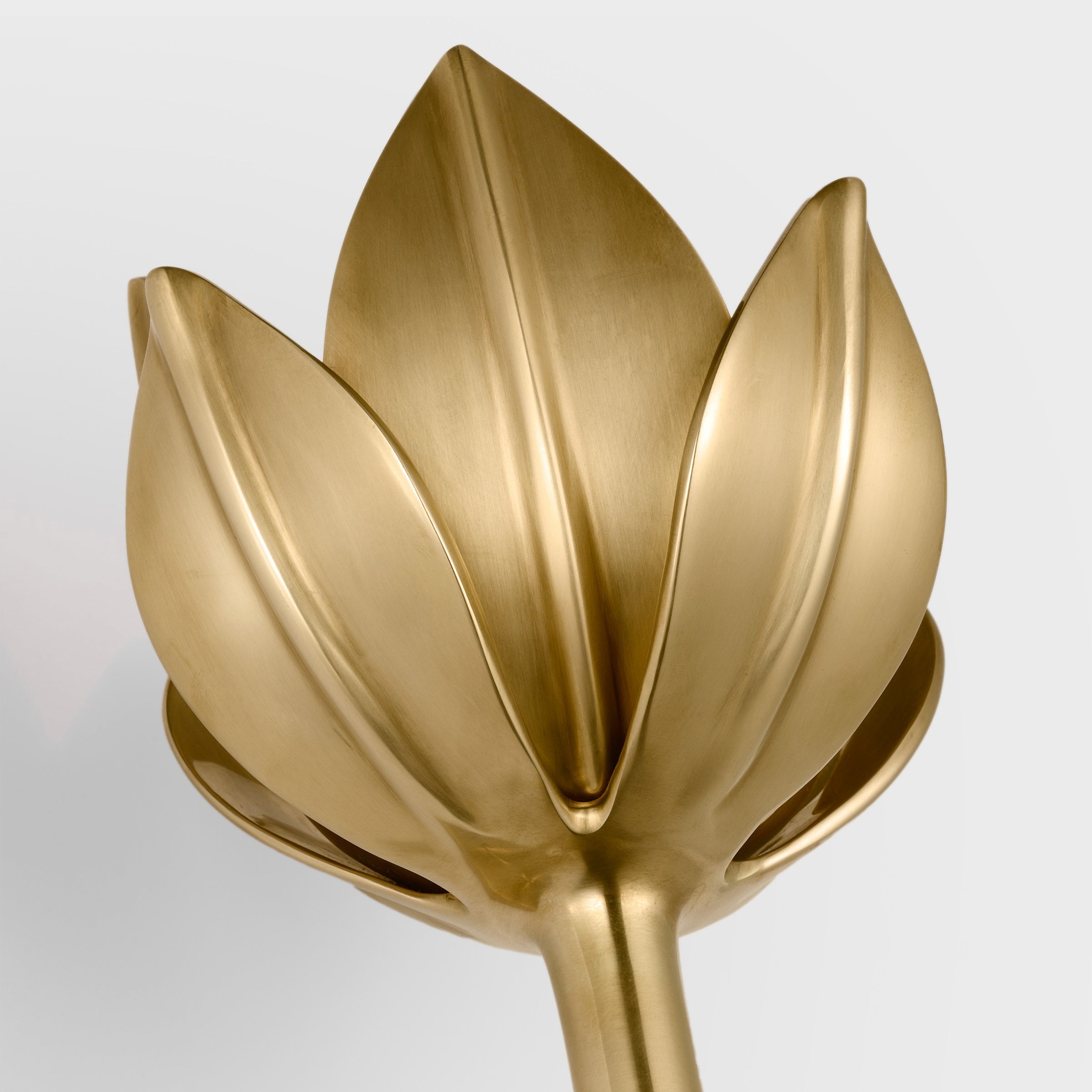 Kristy Lámpara de Pared con Flor