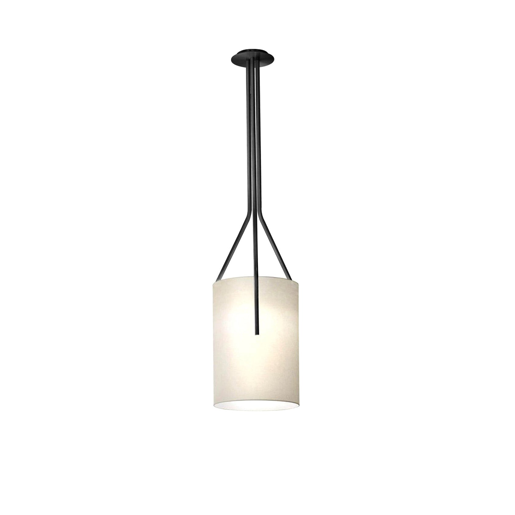 Arborescence Chandelier - Letslighting