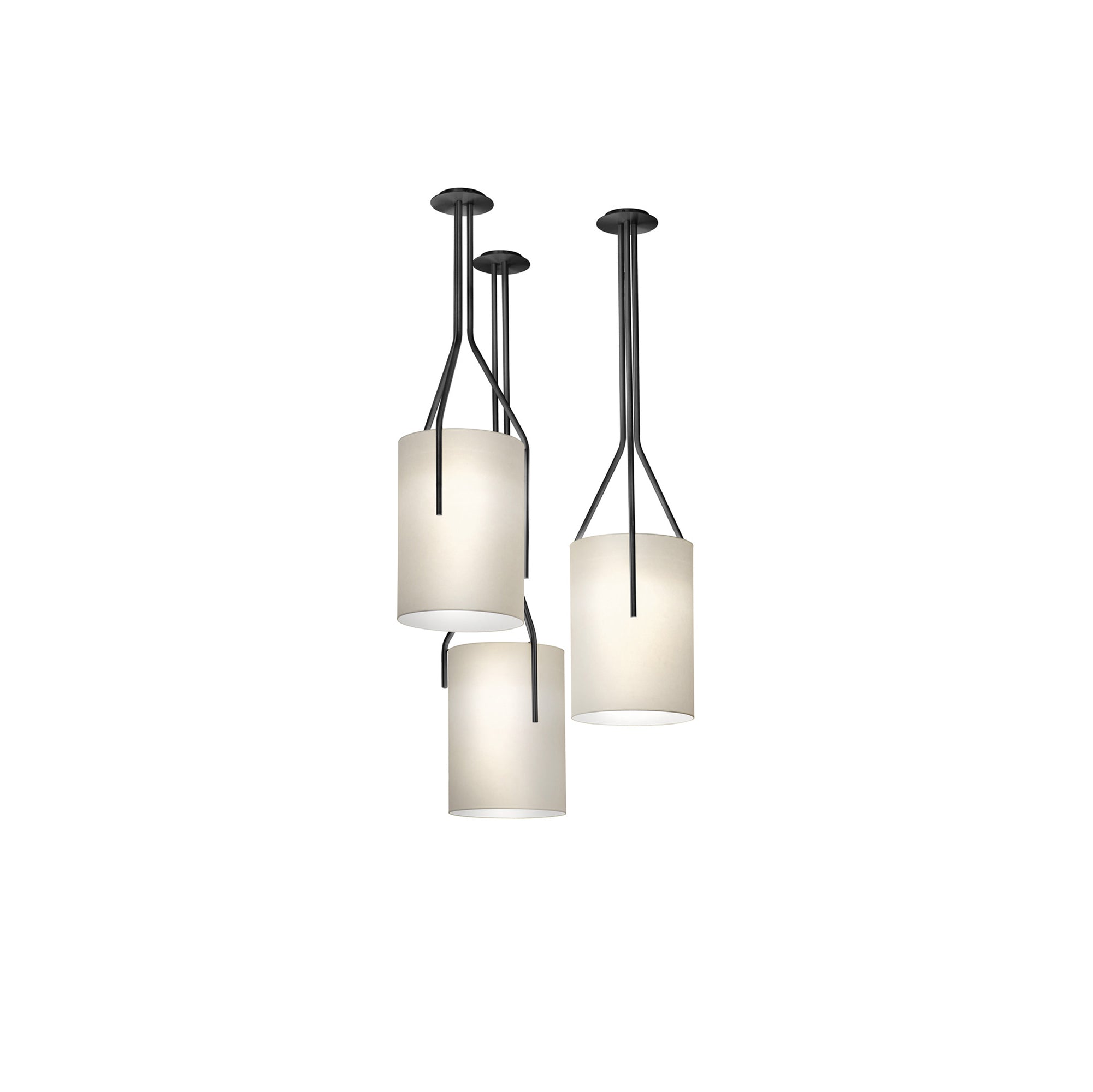 Arborescence Chandelier - Letslighting
