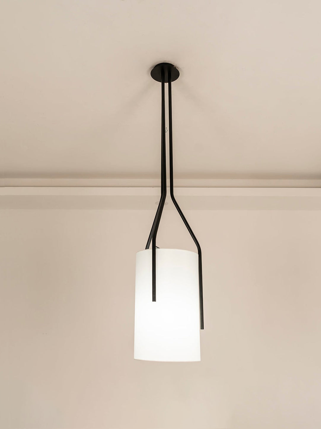 Arborescence Chandelier - Letslighting