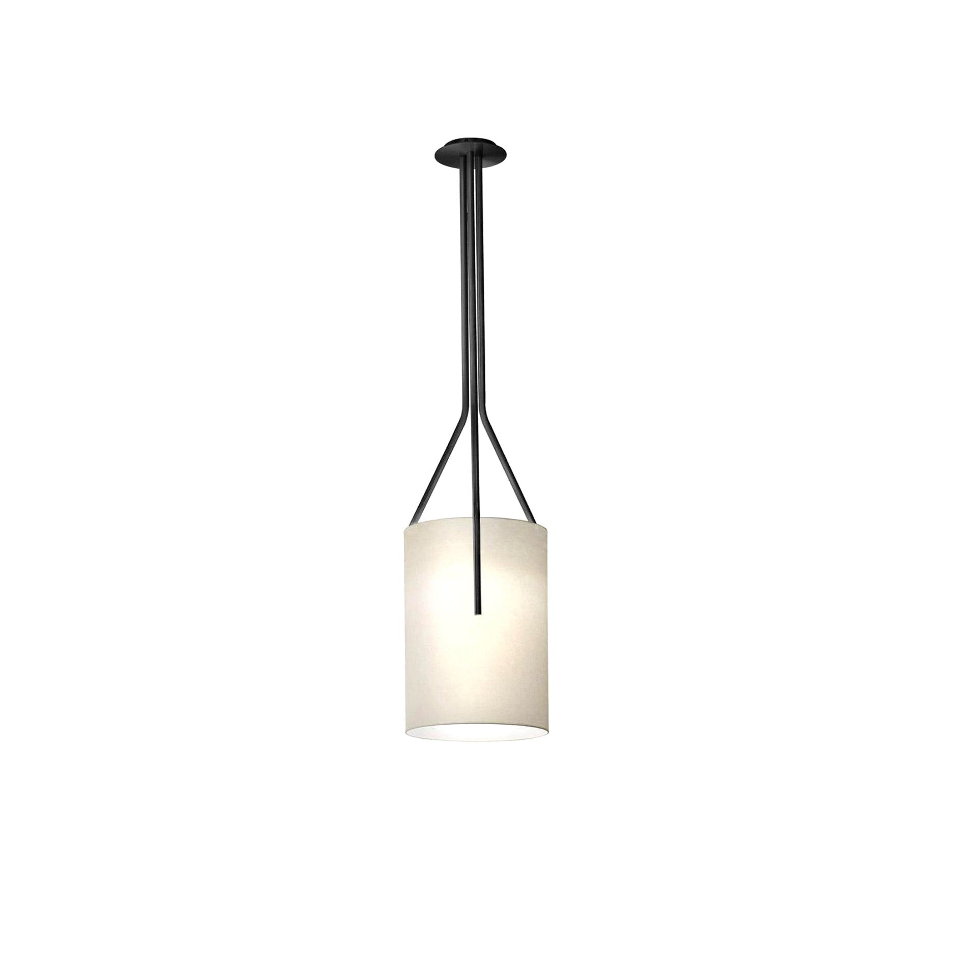 Arborescence Chandelier - Letslighting
