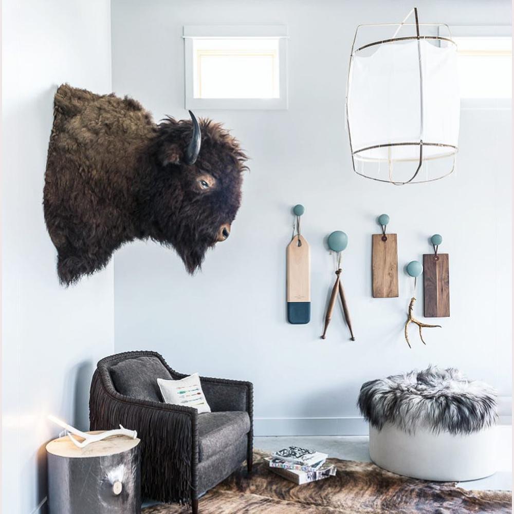 Ay illuminate Pendant Light - Letslighting