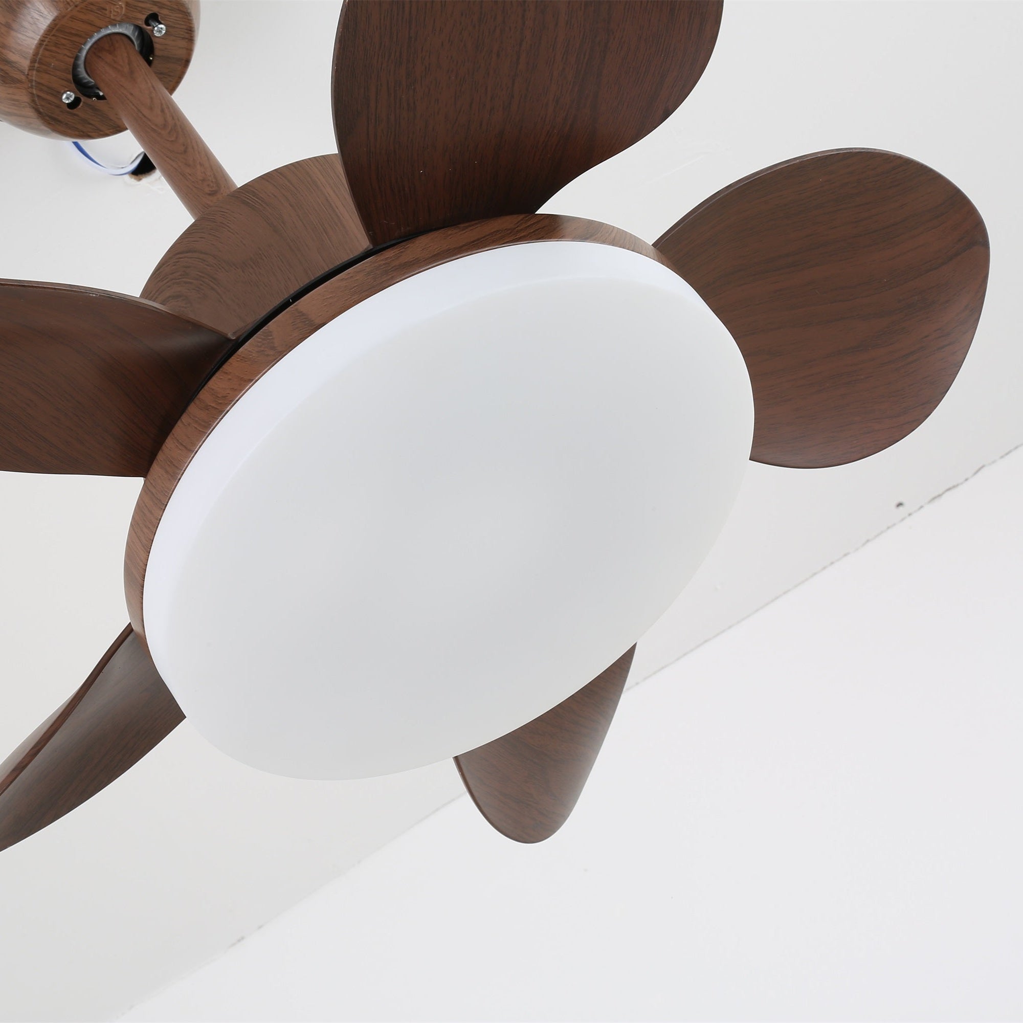 Luz del ventilador Alenya mostrando su diseño IP20 resistente a la humedad