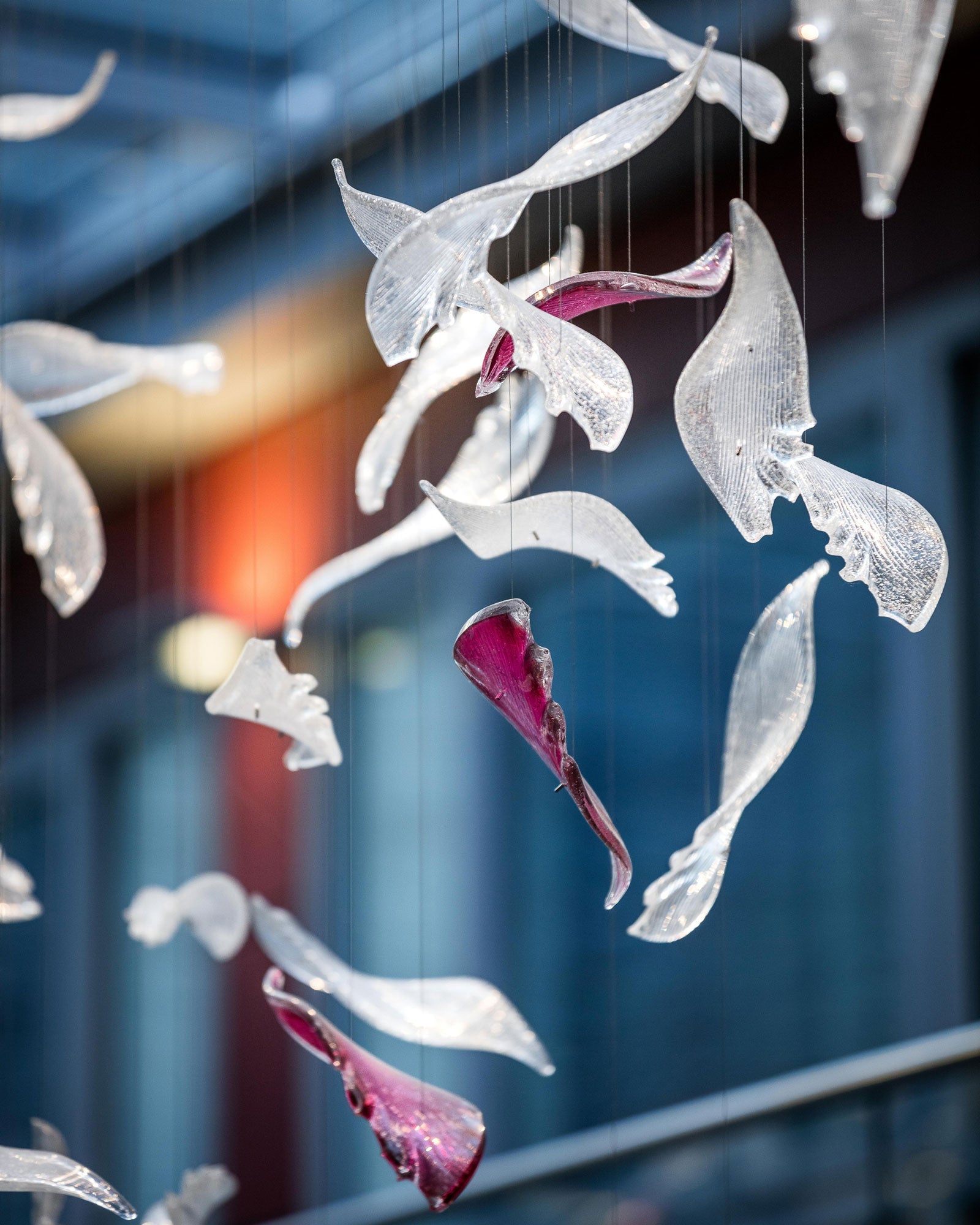 Zathaara Glass Feather Shape Chandelier - Letslighting