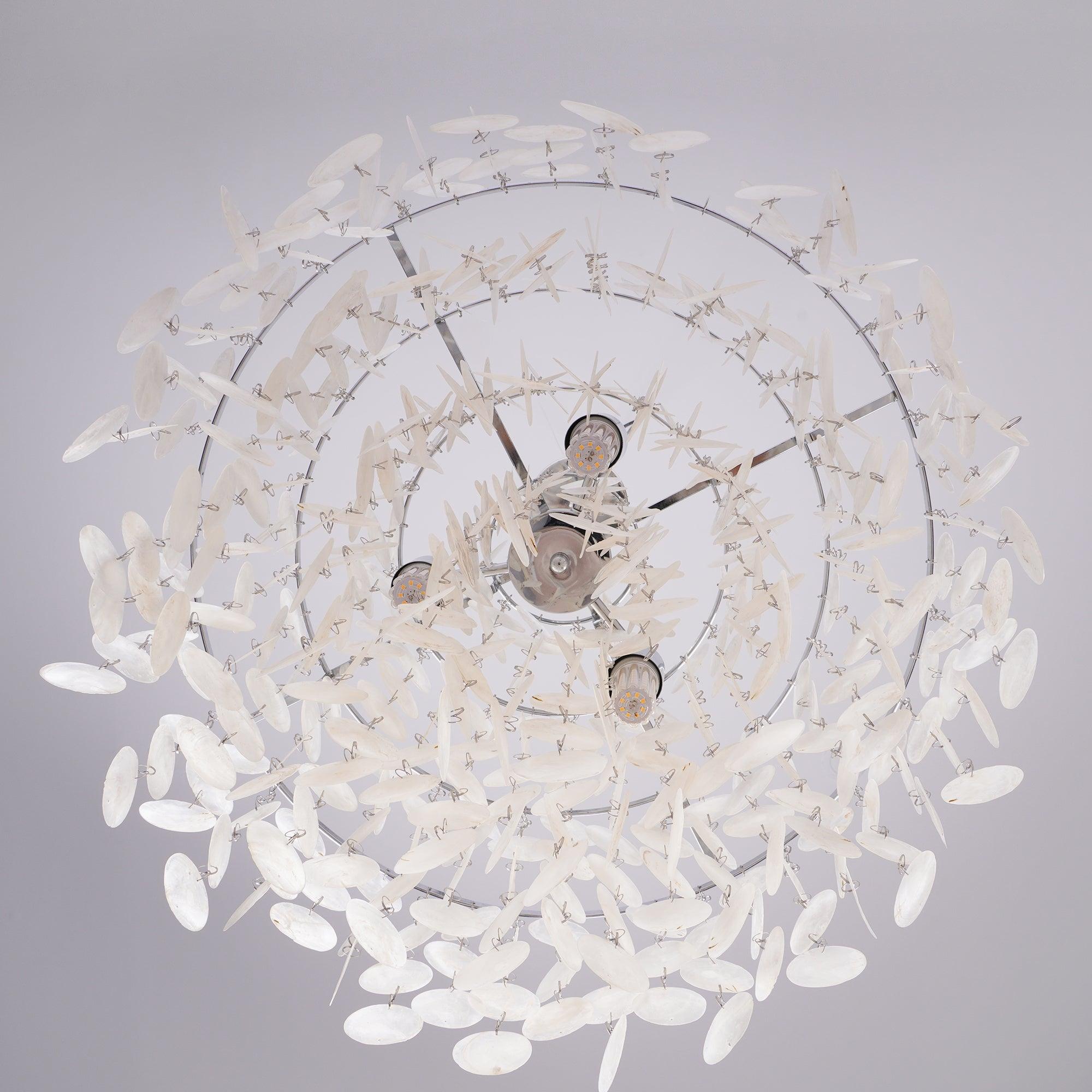 Round Shell Chandelier - Letslighting