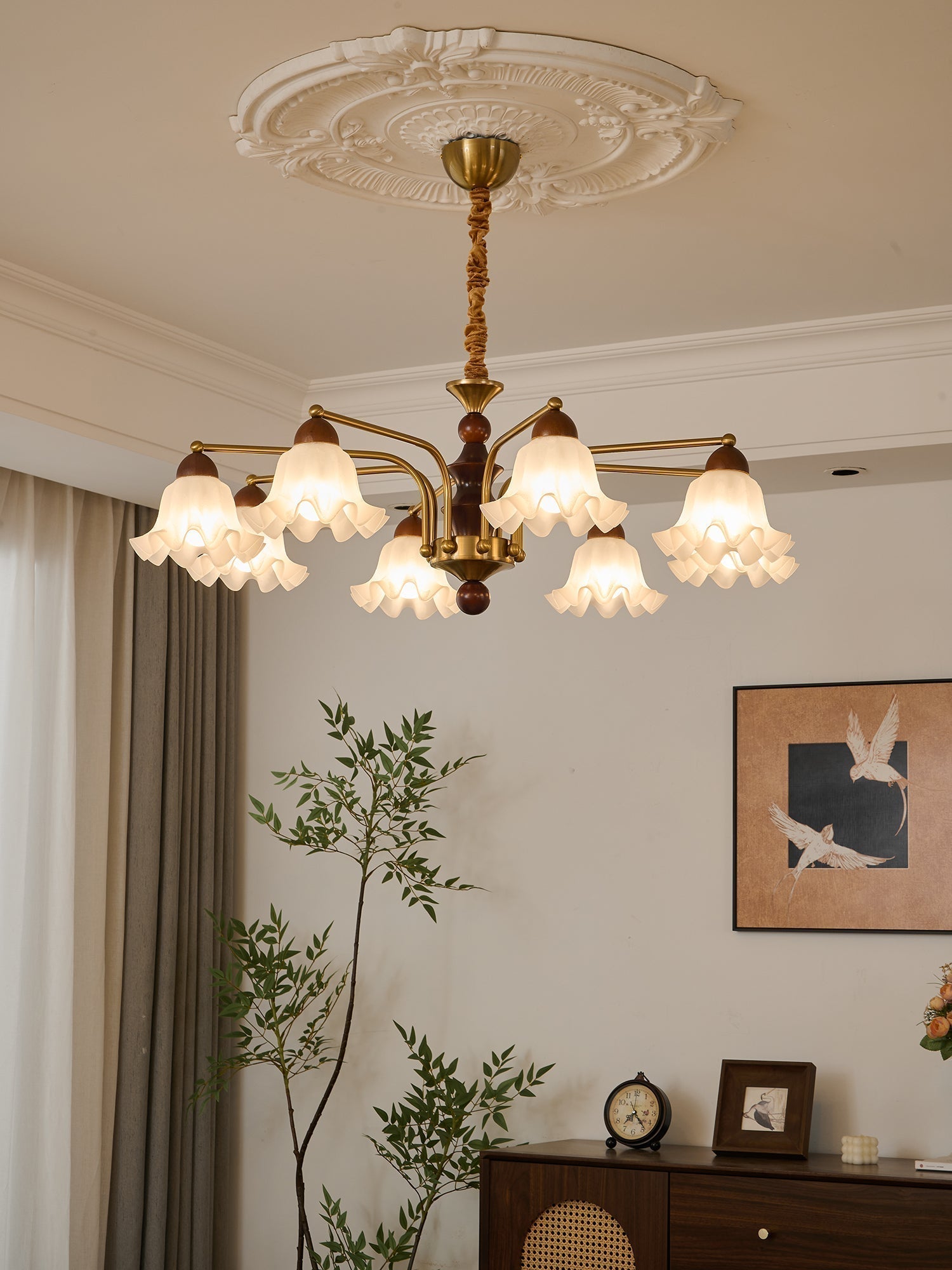 Dioris Chandelier - Letslighting