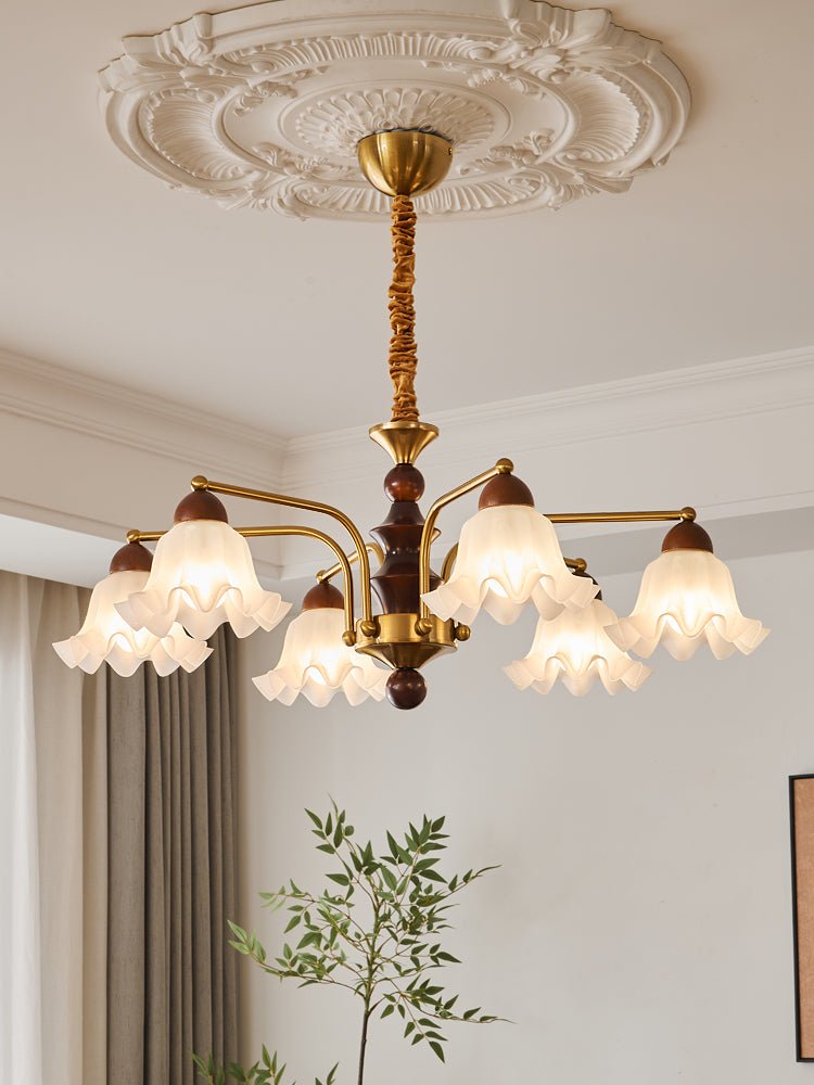 Dioris Chandelier - Letslighting