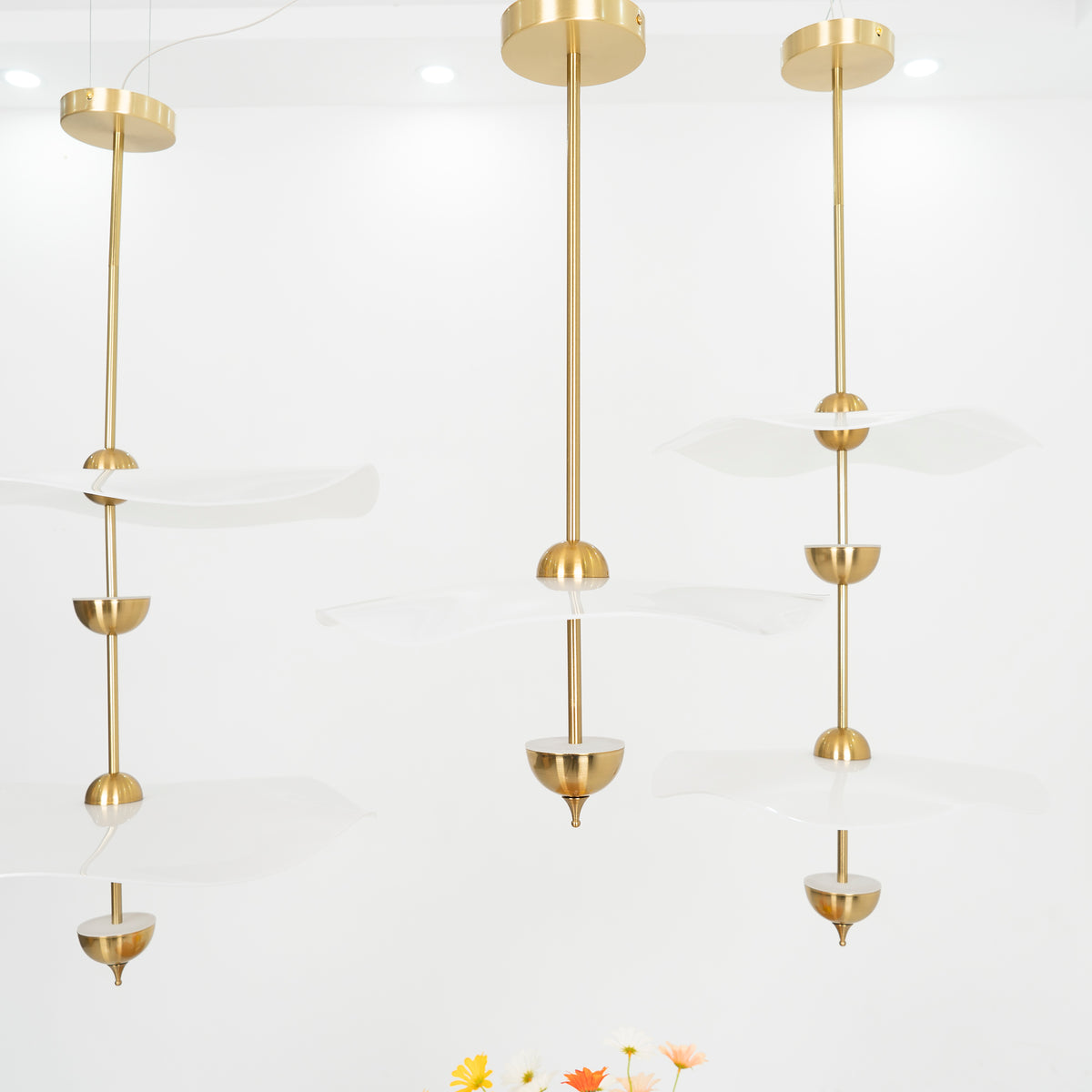 Envolee Double Biscuit Pendant Light - Letslighting