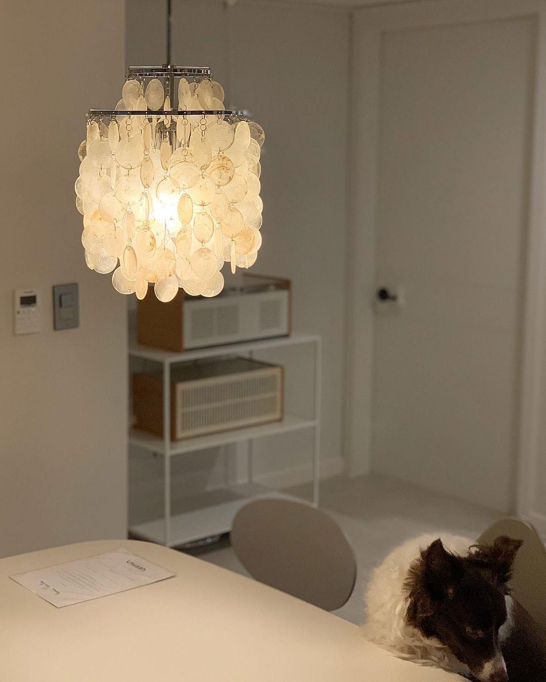 Round Shell Chandelier - Letslighting
