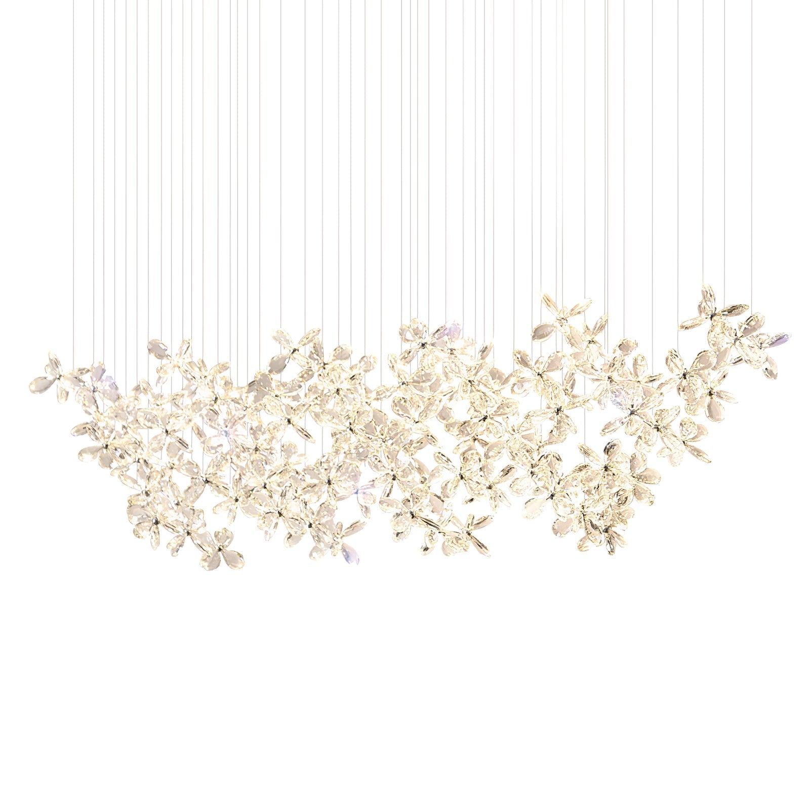 Floating Butterfly Chandelier - Letslighting