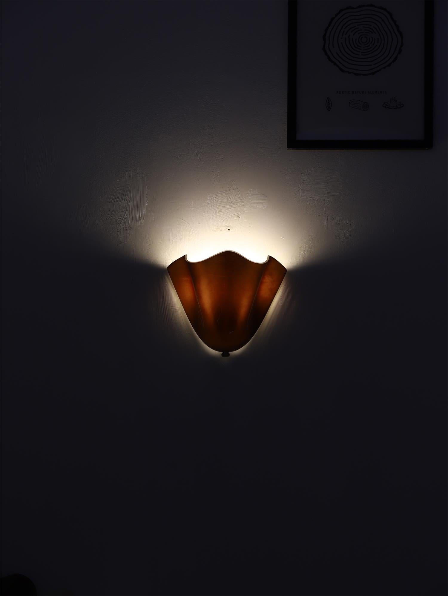 Ulcarisra Individual Creativity Glass Metal Wall Lamp - Lamp Copper