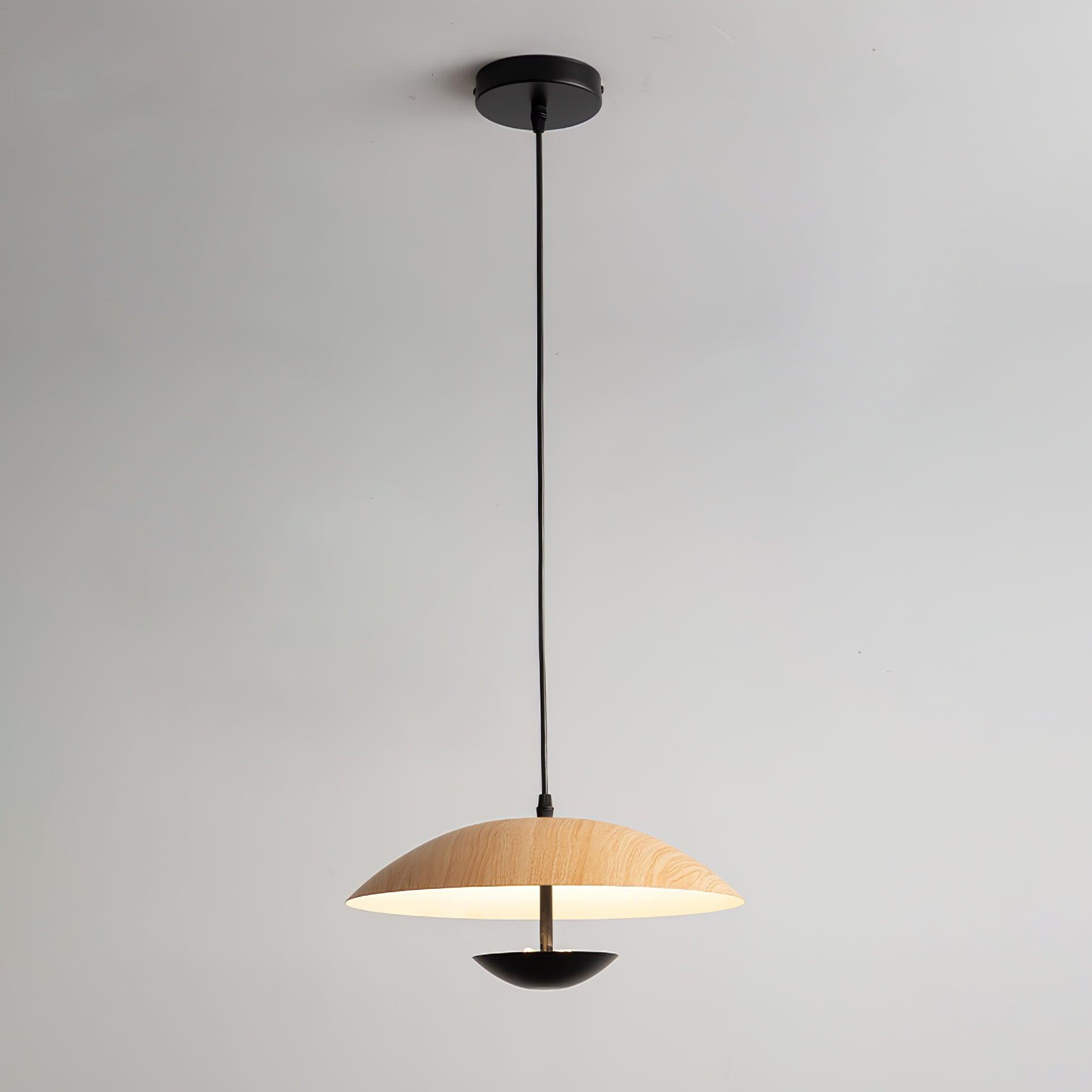 Frisbee Pendant Lamp - Letslighting