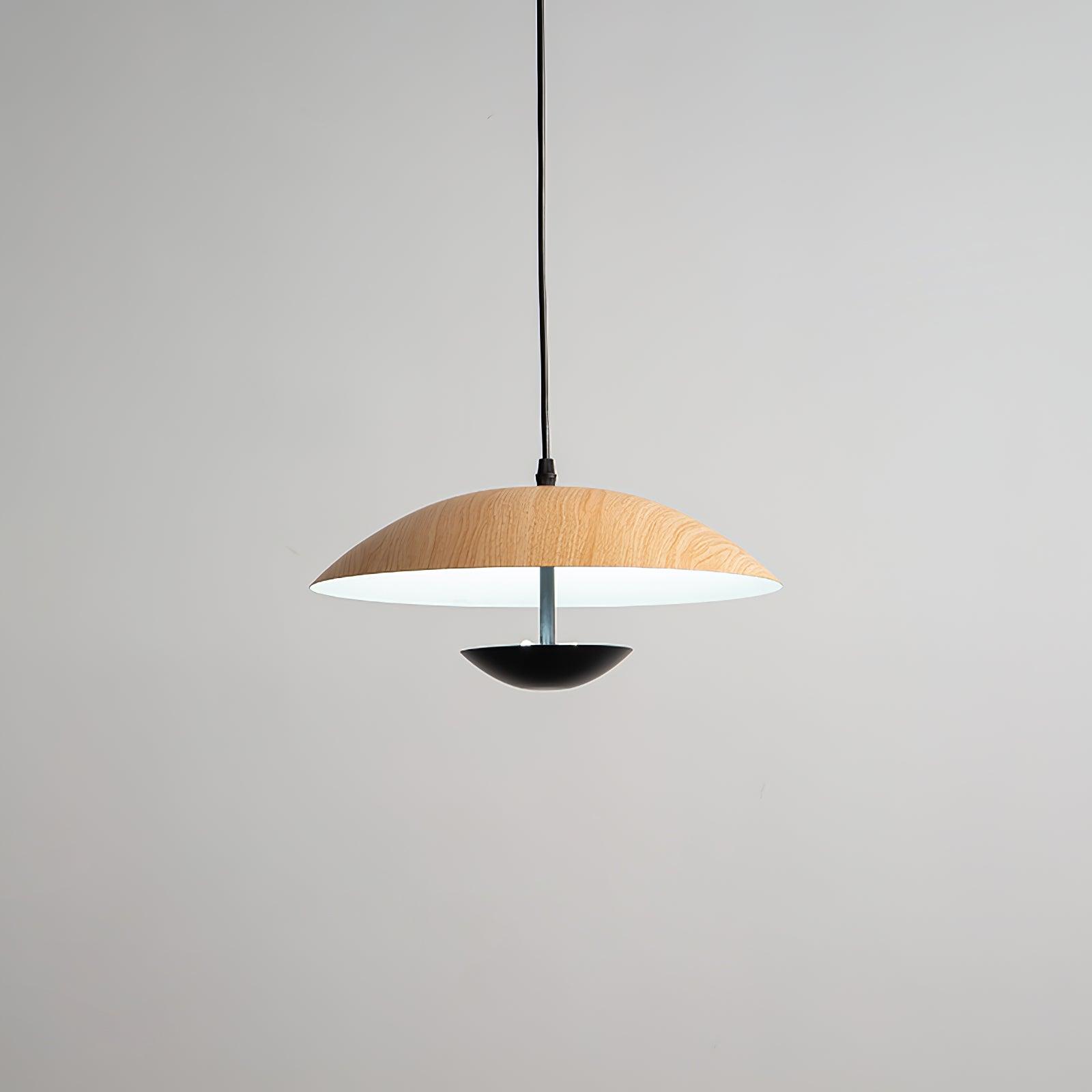 Frisbee Pendant Lamp - Letslighting