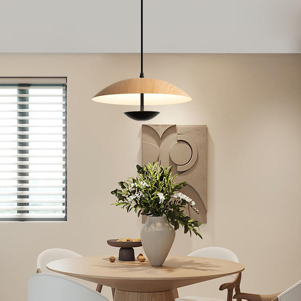 Frisbee Pendant Lamp - Letslighting