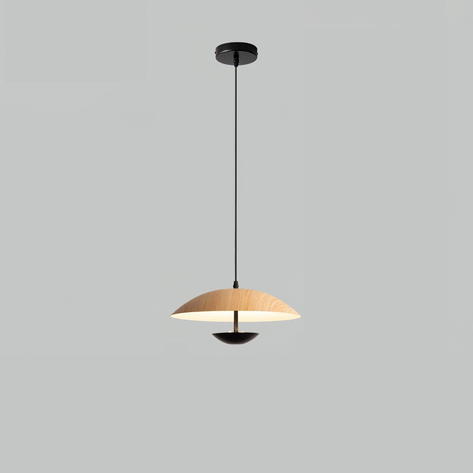 Frisbee Pendant Lamp - Letslighting