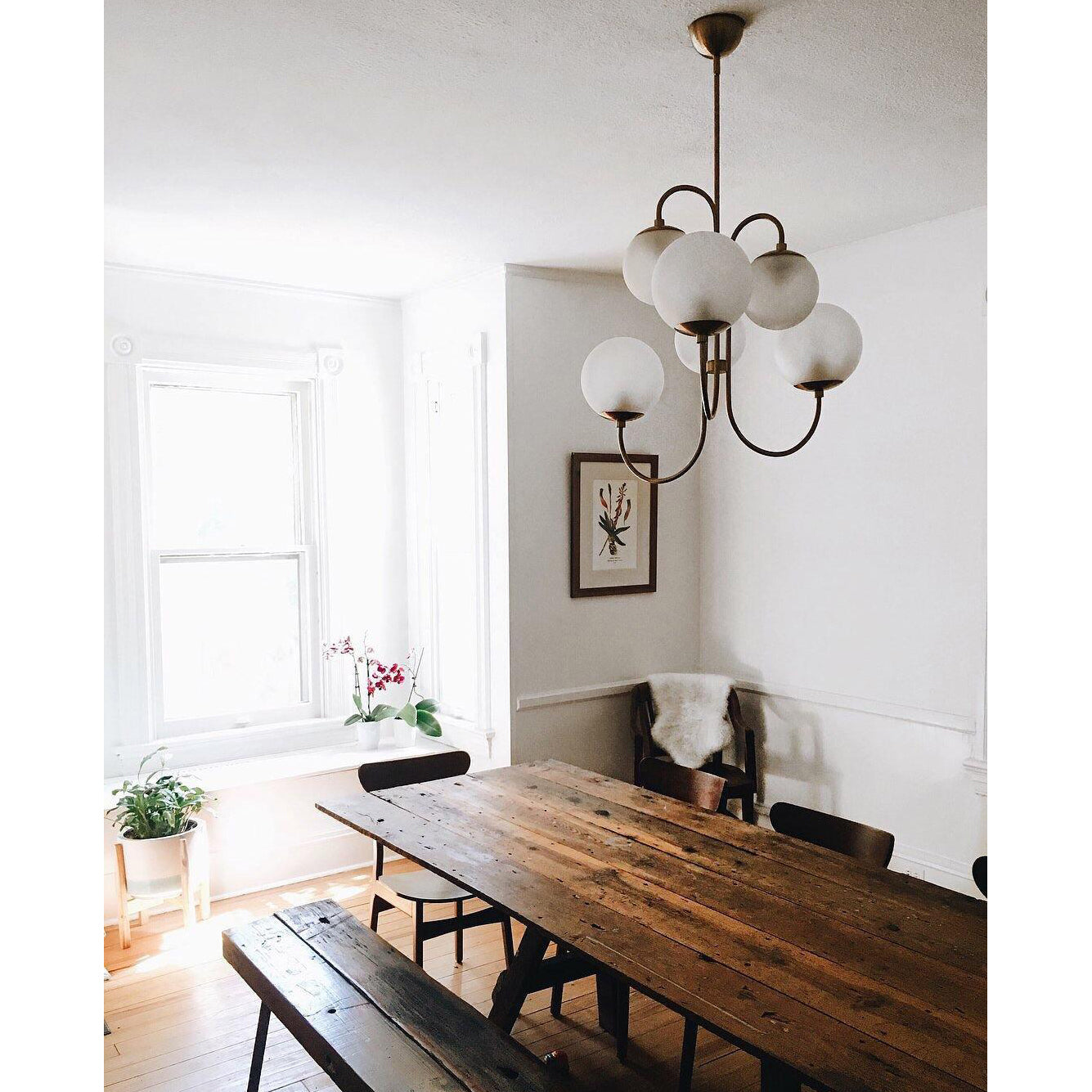 Zathaor Individual Creativity Metal Glass Chandelier - Lamp Copper