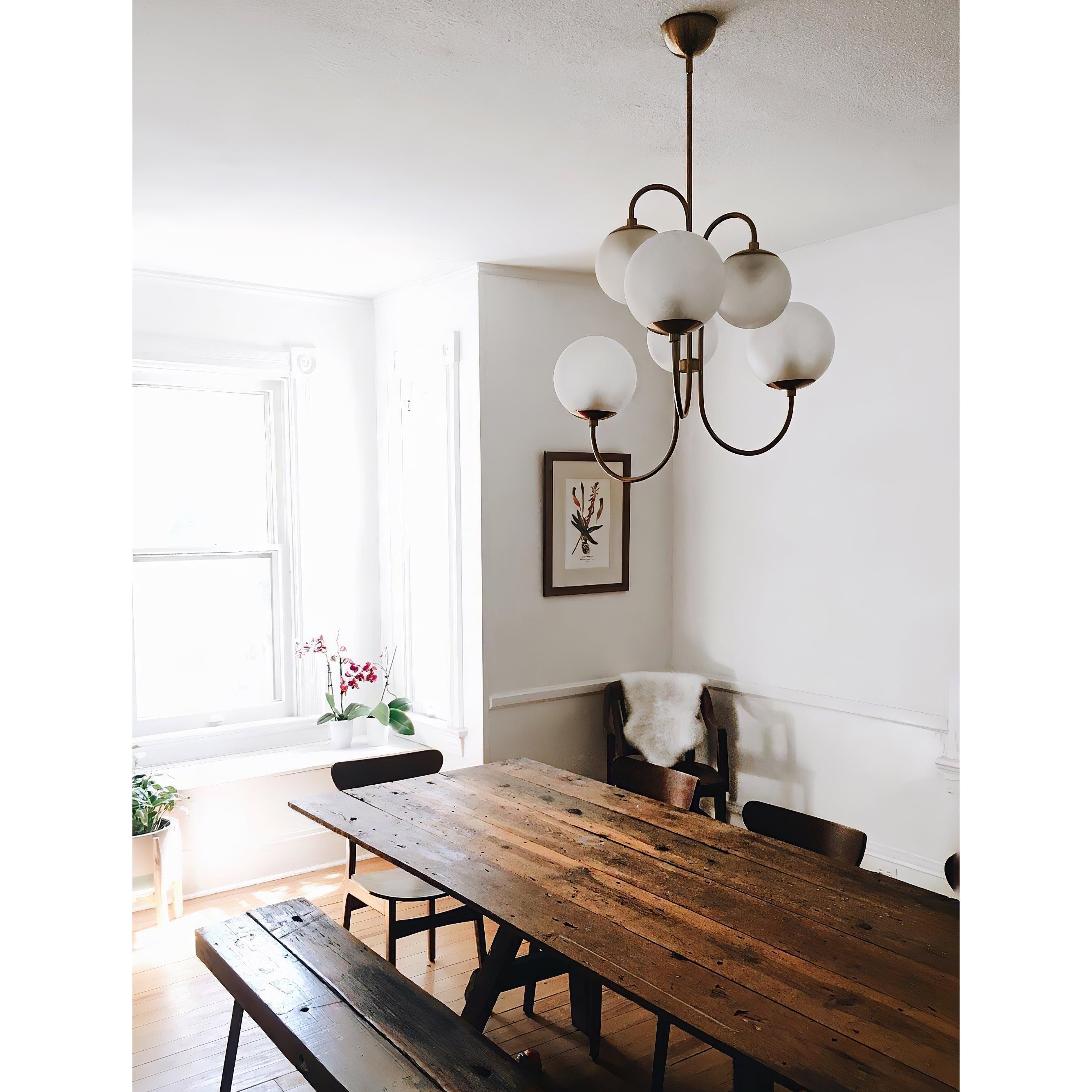 Zathaor Individual Creativity Metal Glass Chandelier - Lamp Copper