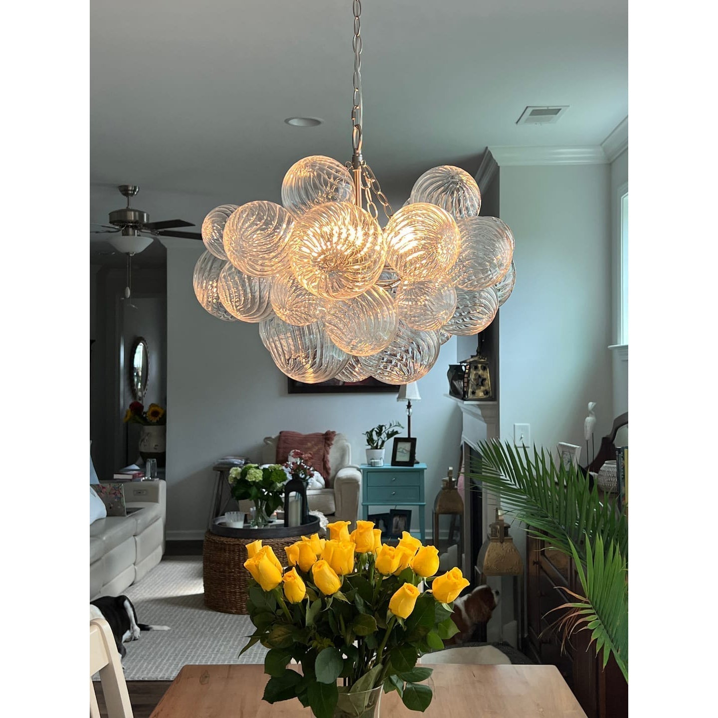 Aurora Chandelier Glass Ball Bubble Modern - Letslighting
