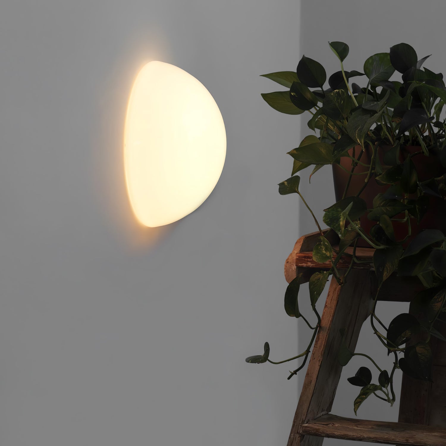 Halbkugel Wall Lamp - Letslighting