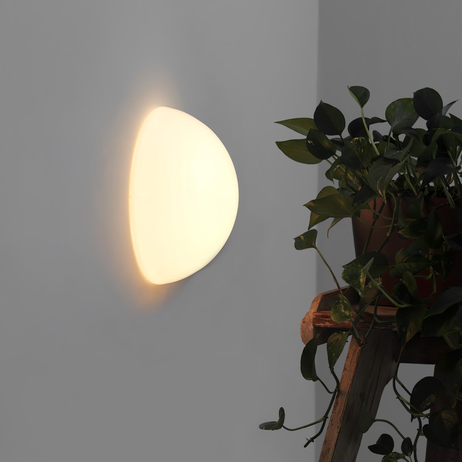 Halbkugel Wall Lamp - Letslighting