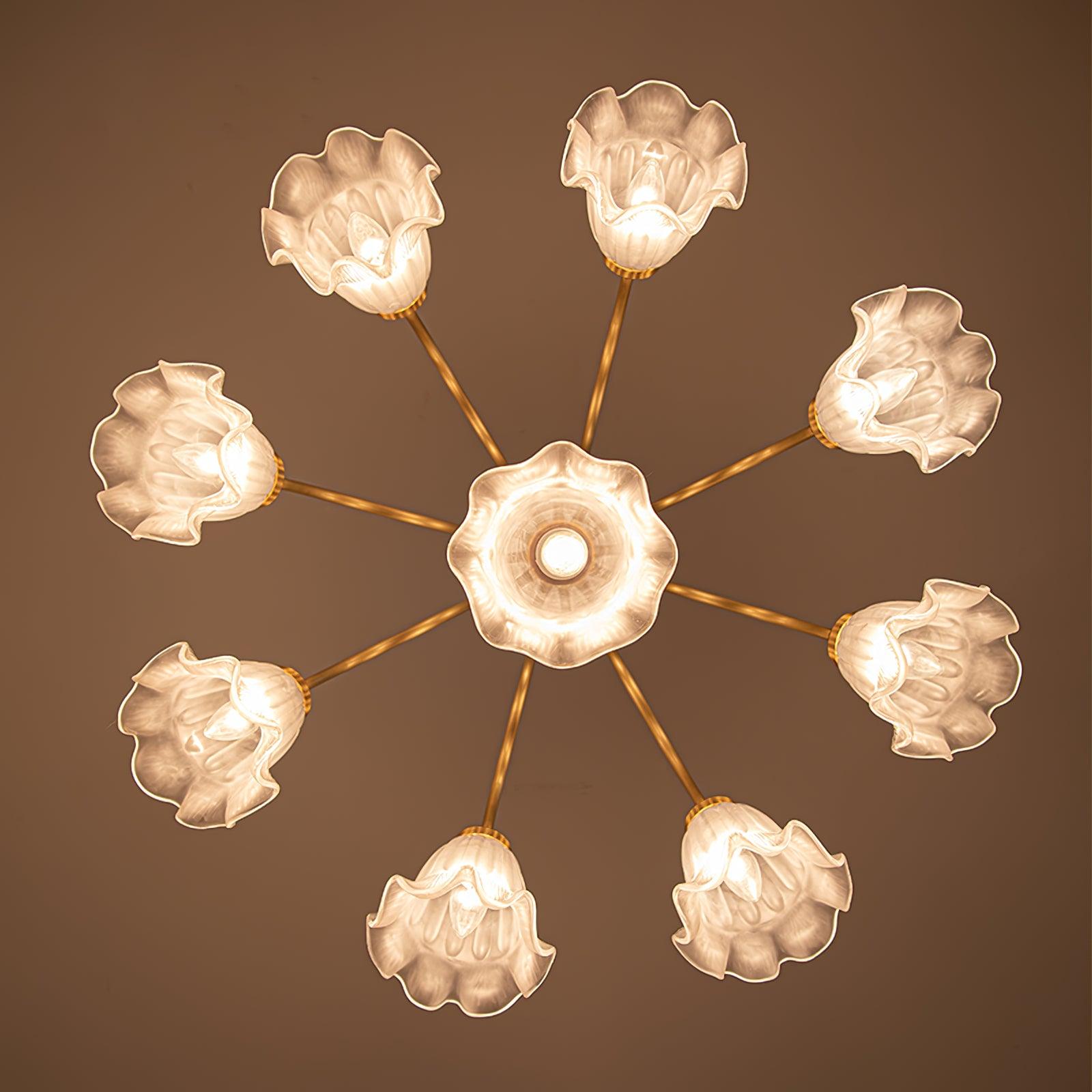 Lily Chandelier - Letslighting