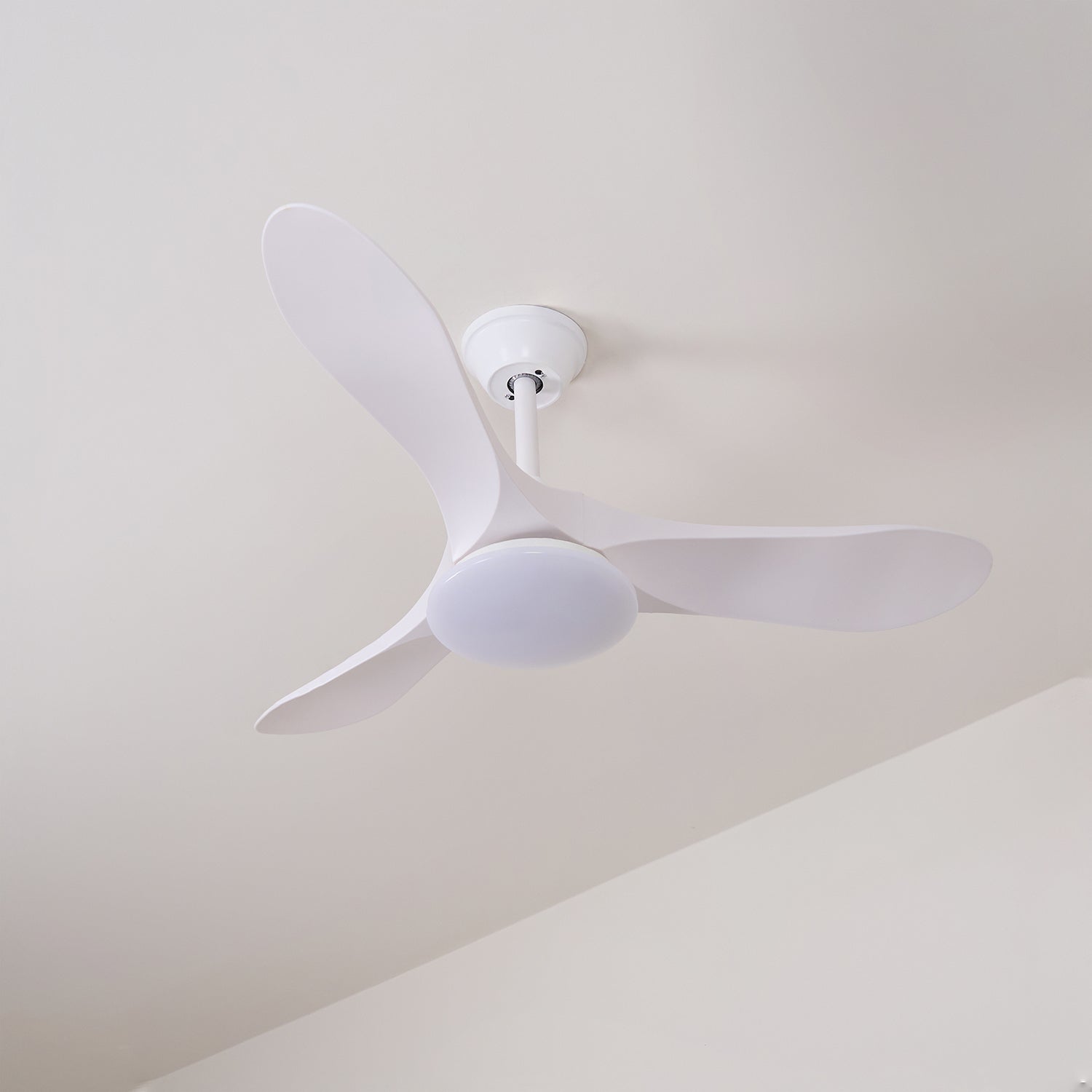 Ventilador de Techo Minimalista Oriken con luz, toma de estilo de vida