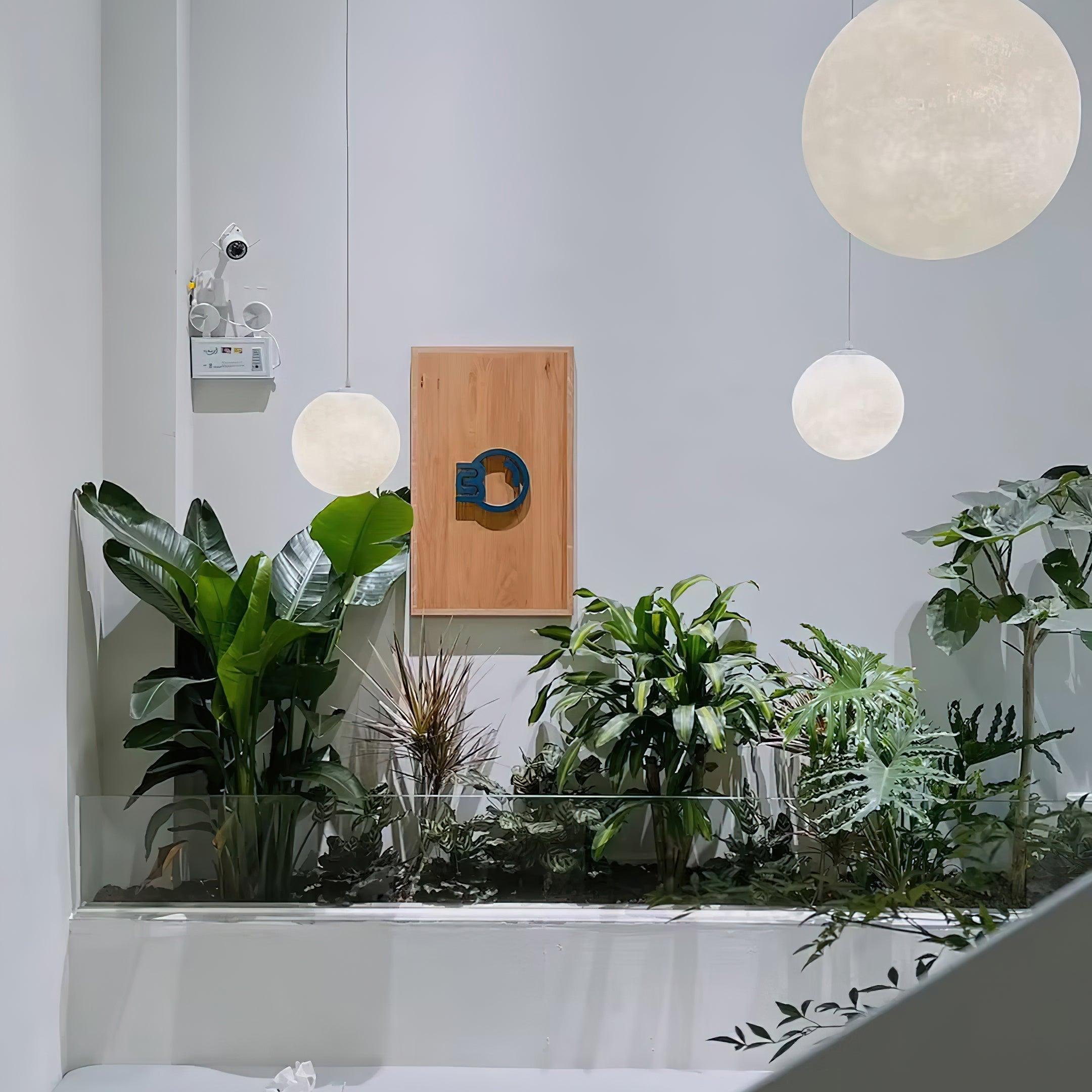 Moon Pendant Lamp - Letslighting