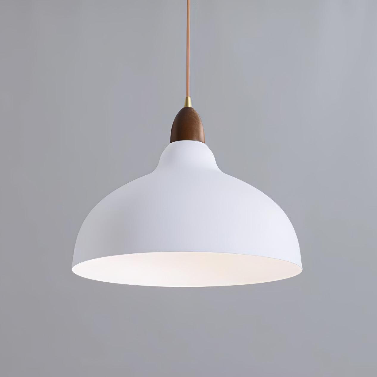 Silas Minimalist Metal Pendant Lamp - Letslighting