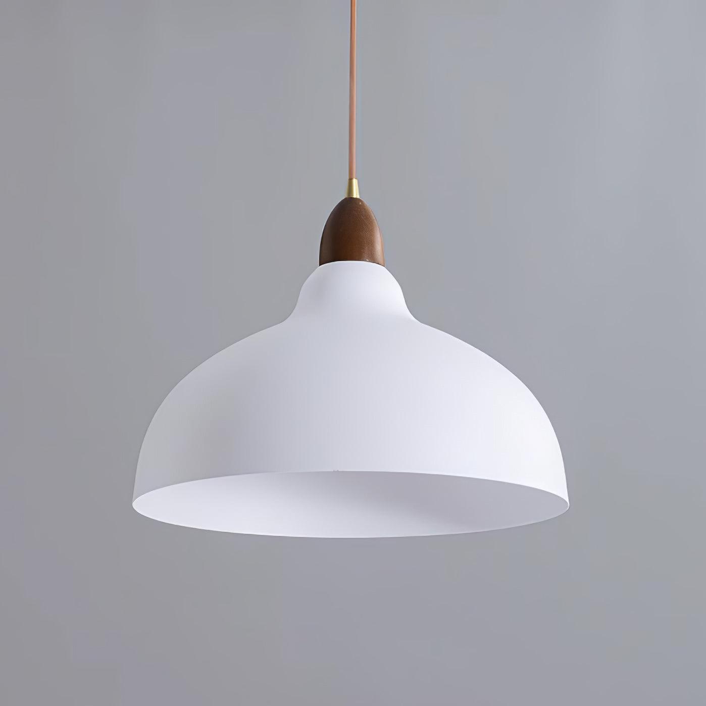 Silas Minimalist Metal Pendant Lamp - Letslighting
