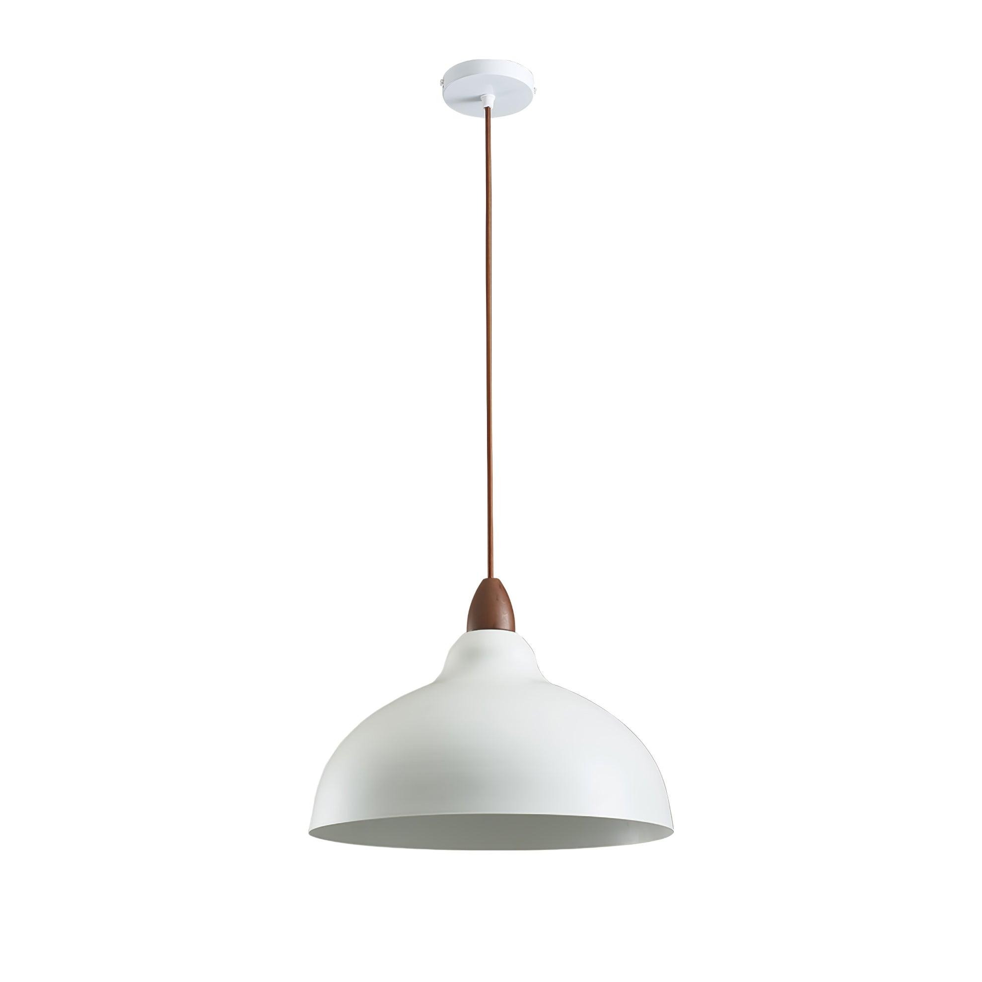 Silas Minimalist Metal Pendant Lamp - Letslighting