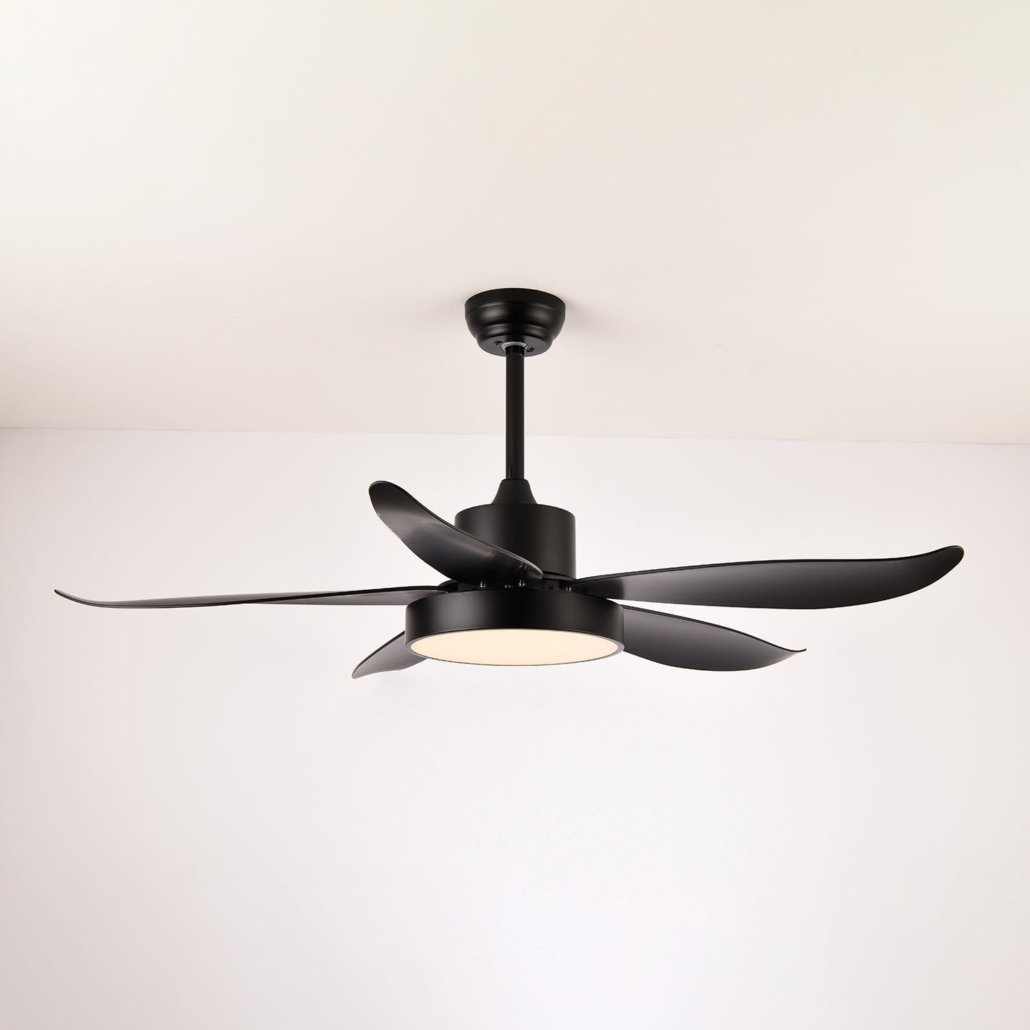 Lámpara Ventilador de Techo Moderna Auron