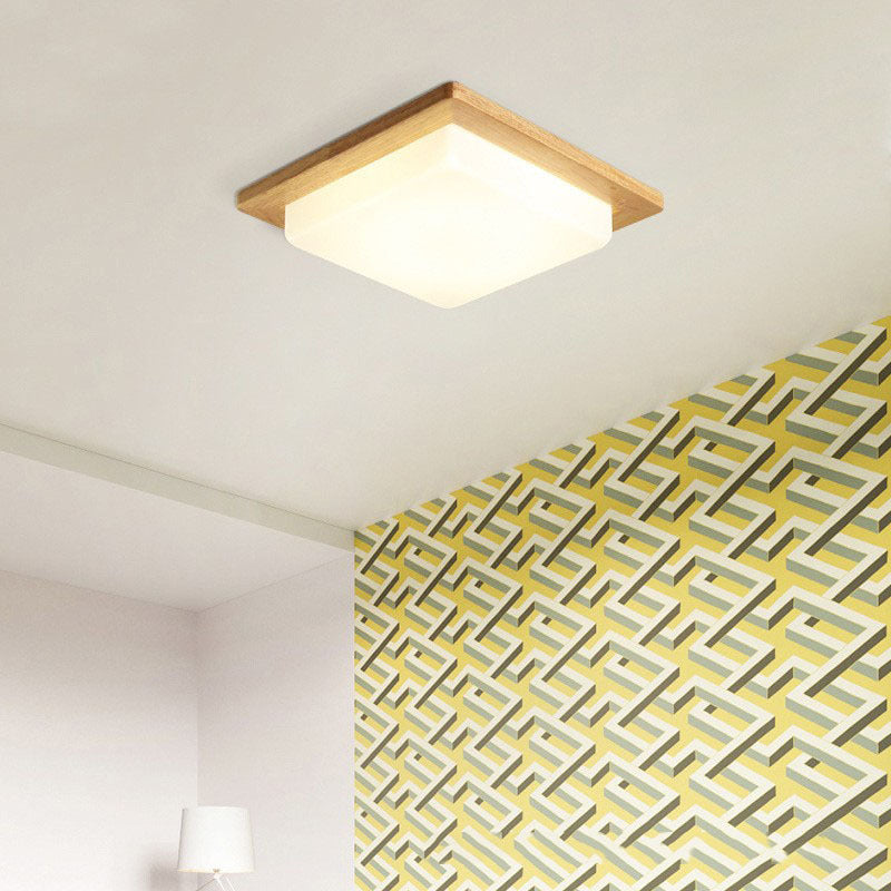 Muto Moderno Sencillo Plafón Lámpara de Techo Madera Acrílico Comedor