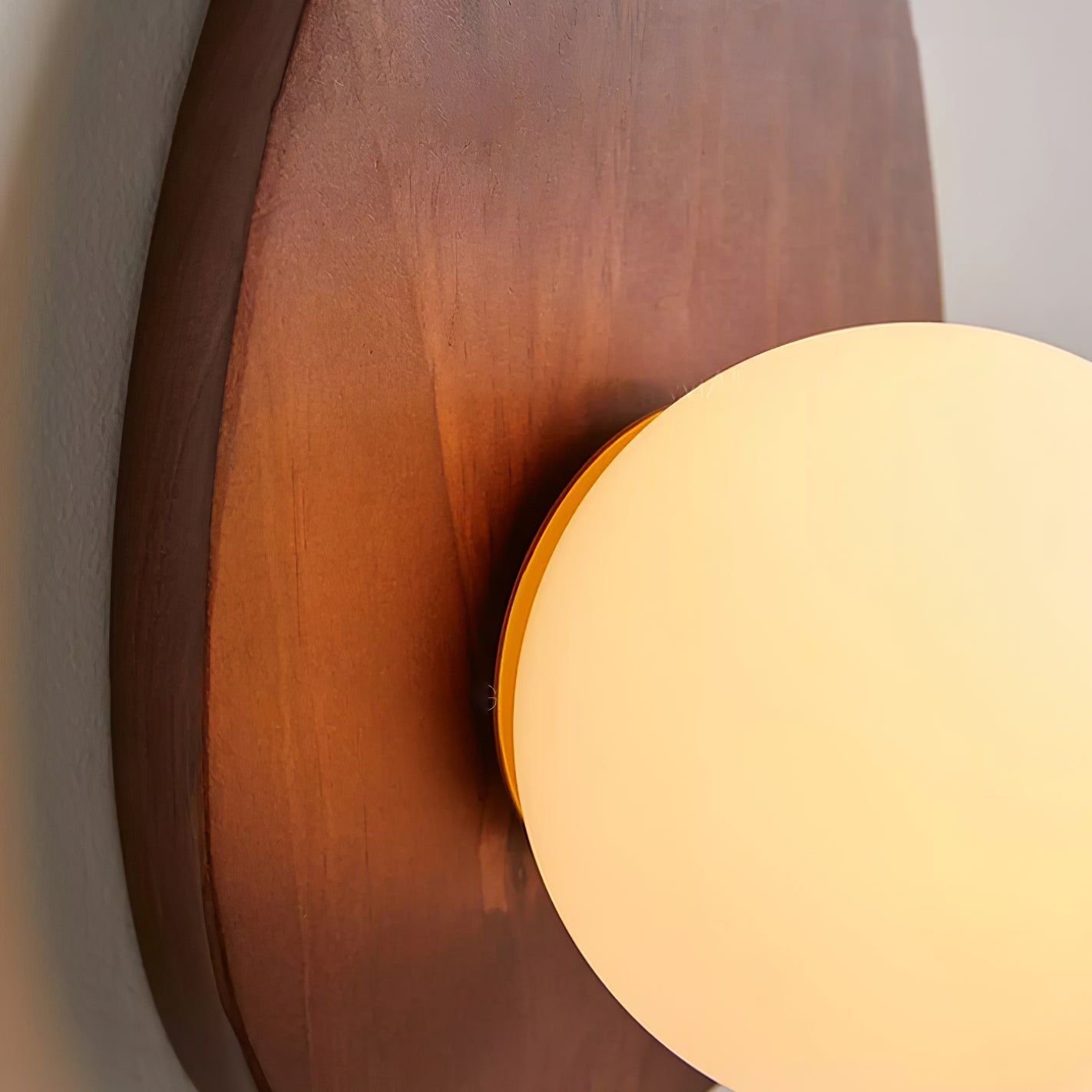 Orba Walnut Wall Lamp - Letslighting