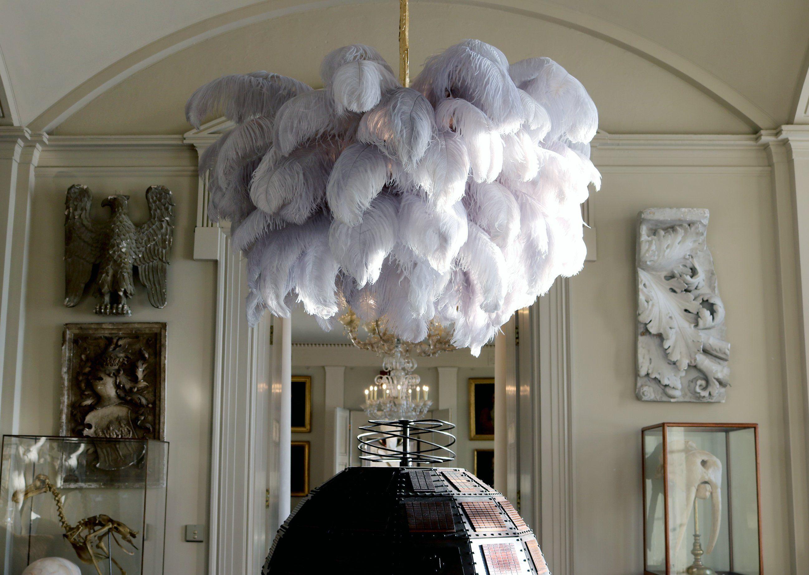 Ostrich Feather Chandelier - Letslighting