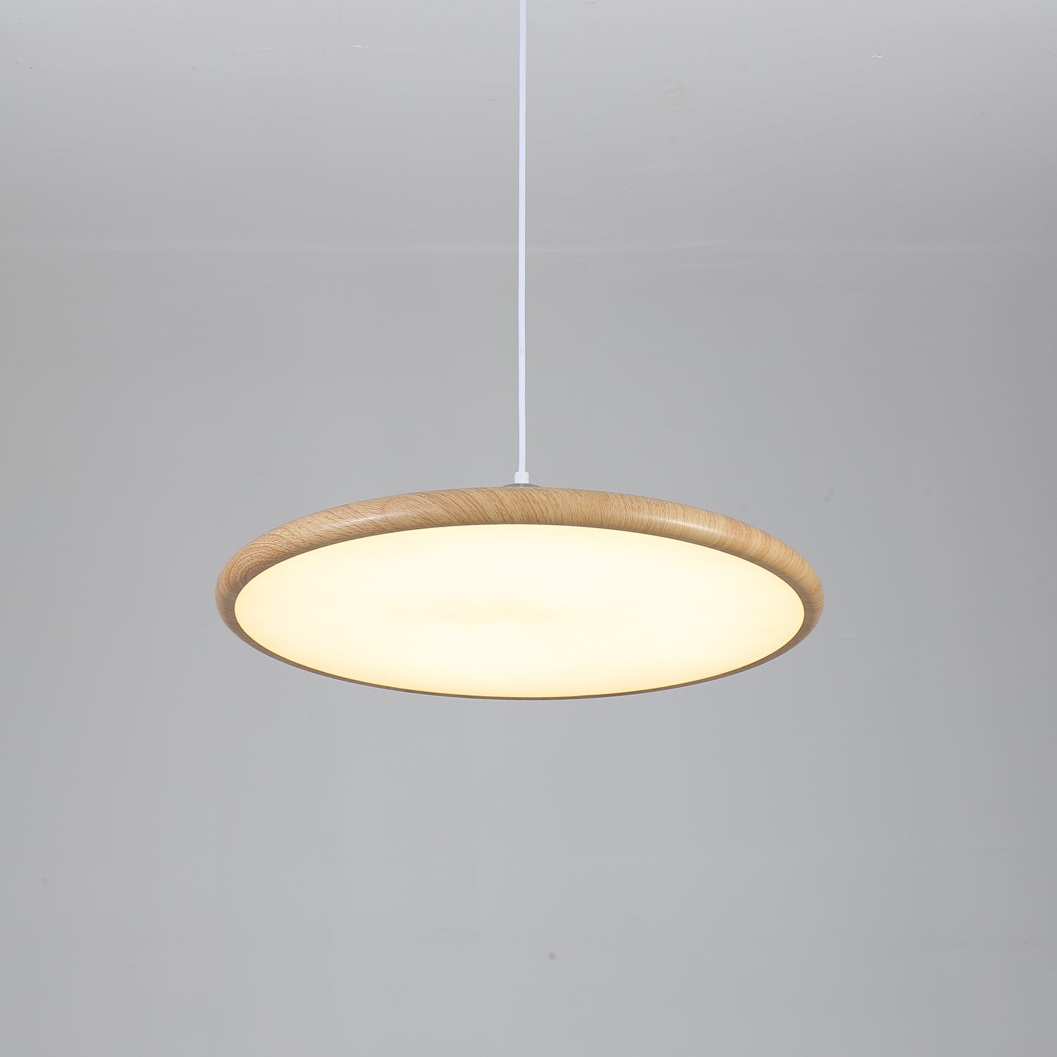 Chole Minimalist Metal Pendant Light - Letslighting