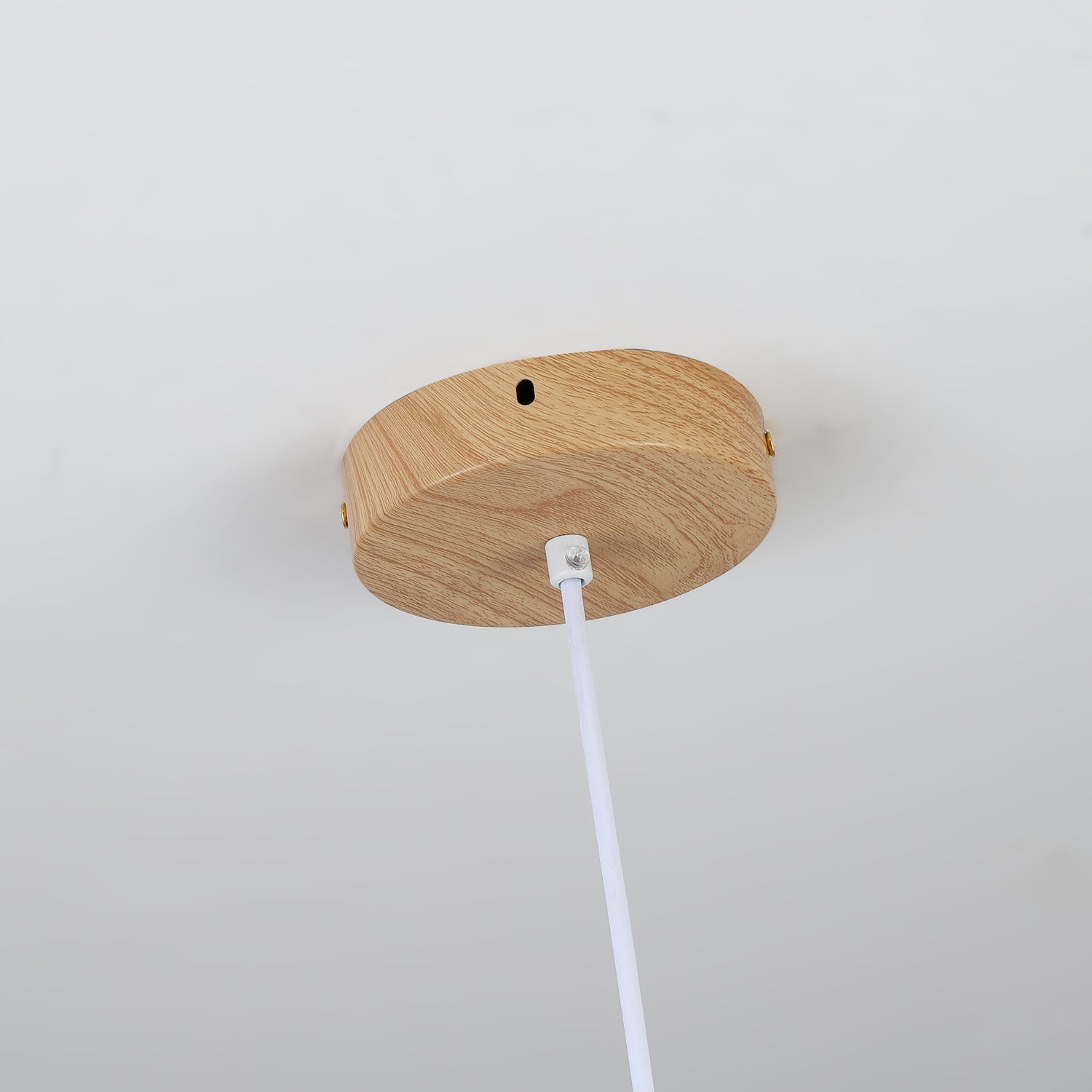 Chole Minimalist Metal Pendant Light - Letslighting