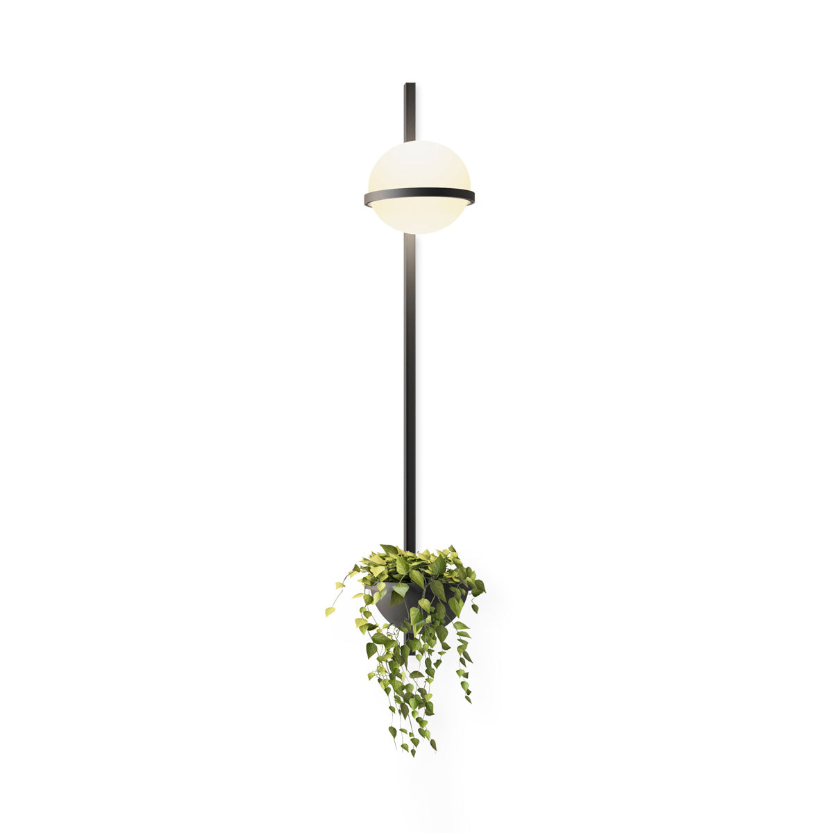 Solstice Wall Light - Letslighting