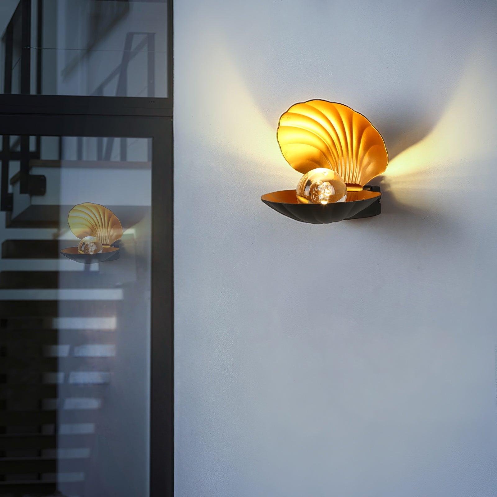 Pearl Clam Wall Light - Letslighting