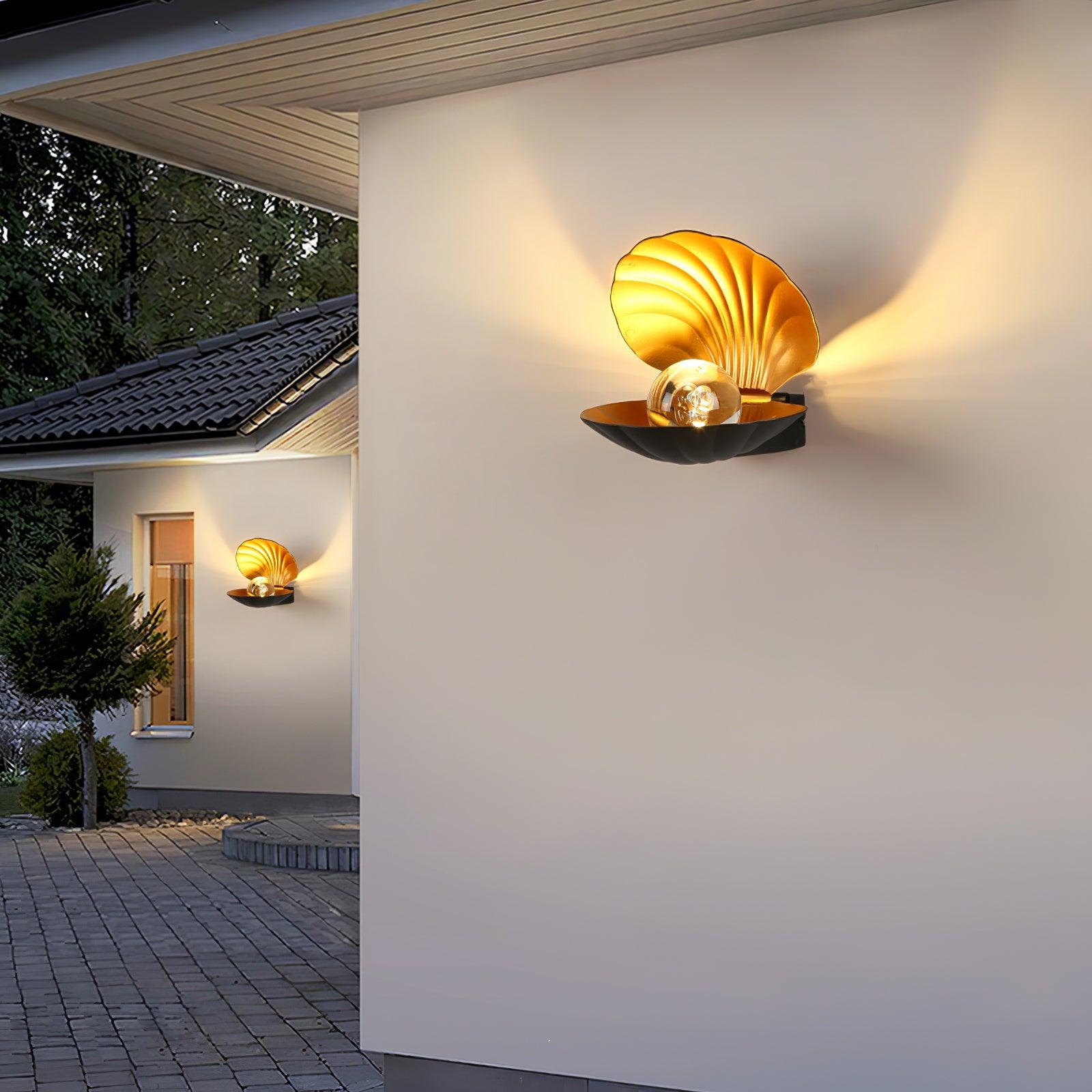 Pearl Clam Wall Light - Letslighting