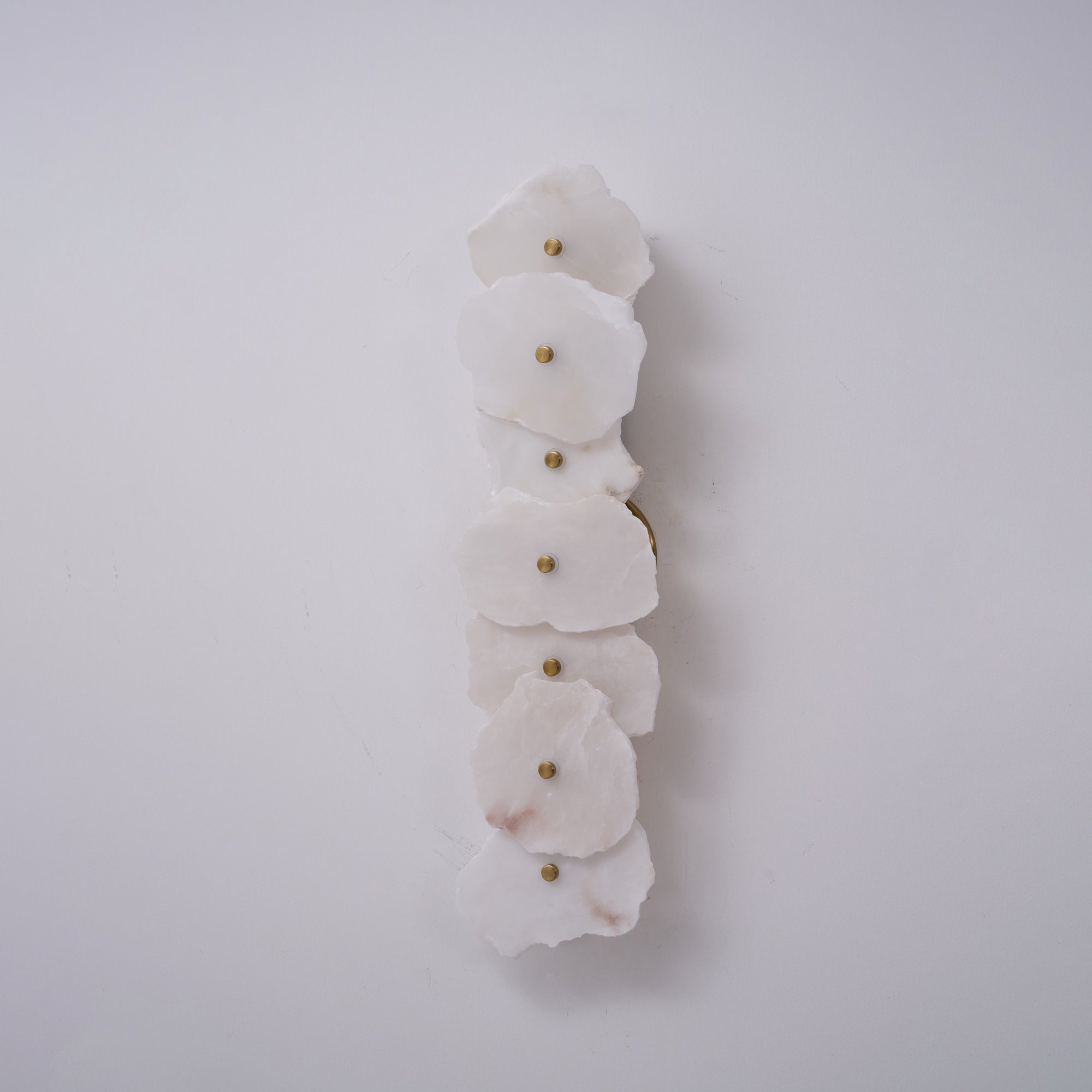 Alaeila Floral Cluster Alabaster Wall Light - Letslighting